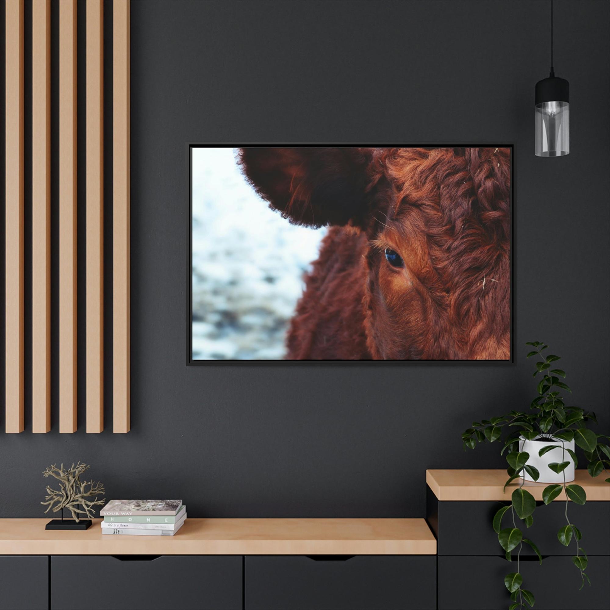 Highland Cow Nelore Cattle Brazil - Wall Art - Wall Art - Animal Canvas