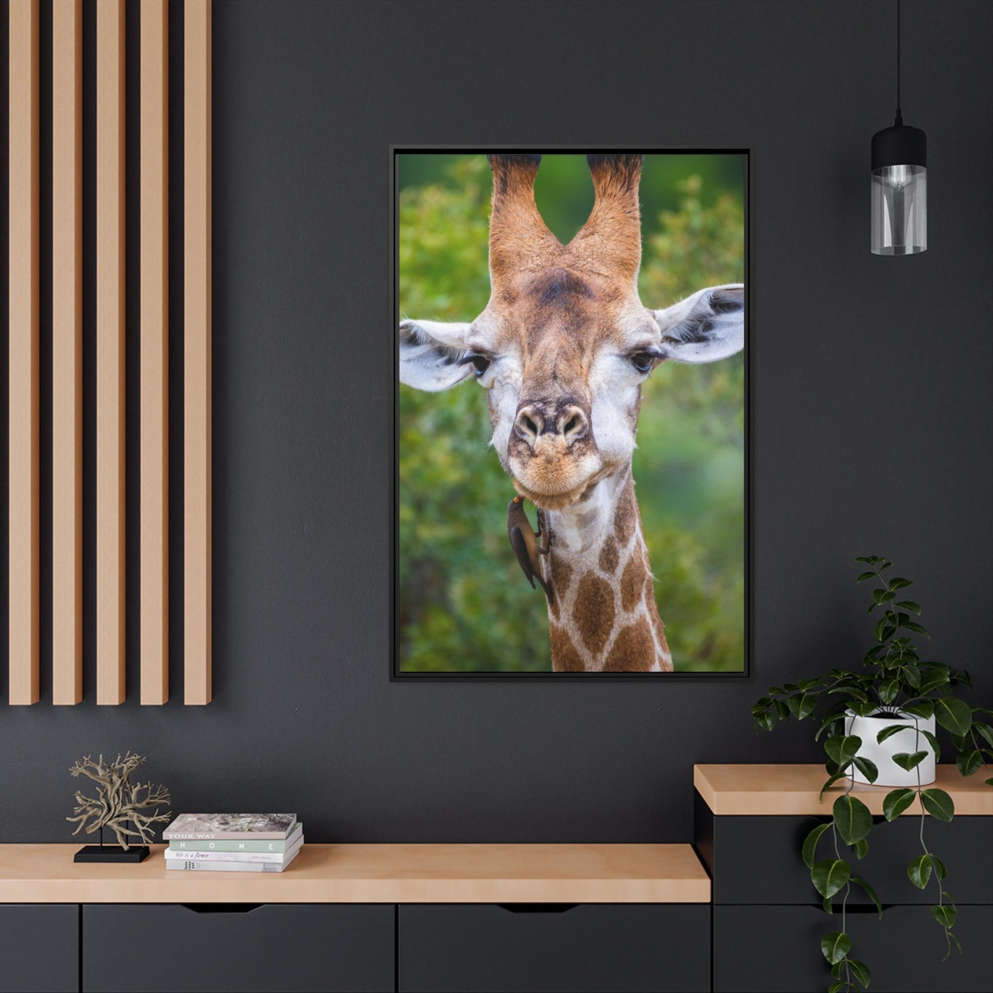 Giraffes Nature's Masterpiece: A Gorgeous Giraffe on Canvas & Poster