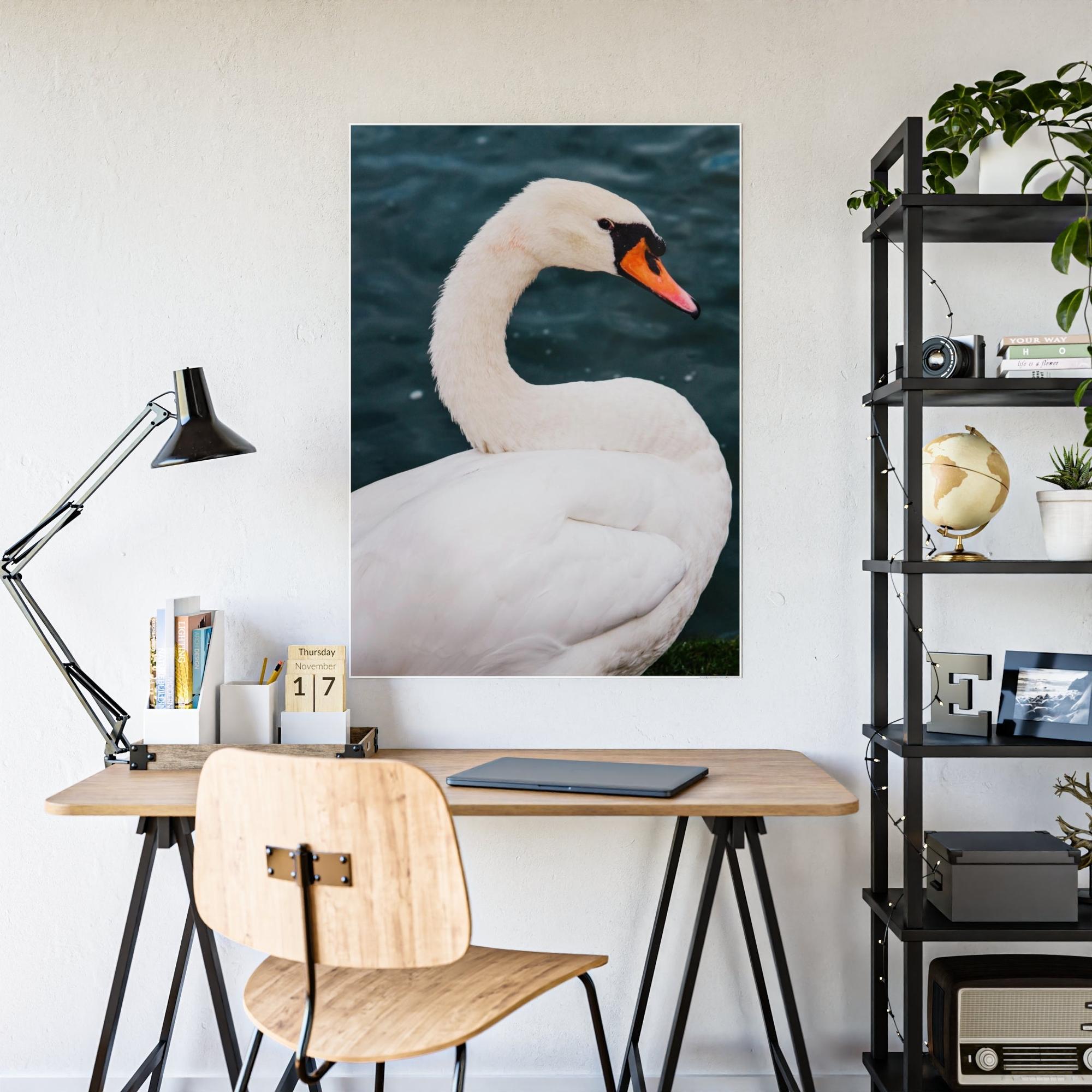 Swans The Calm of Nature: Natural Canvas Print of Swan in a Serene Landscape