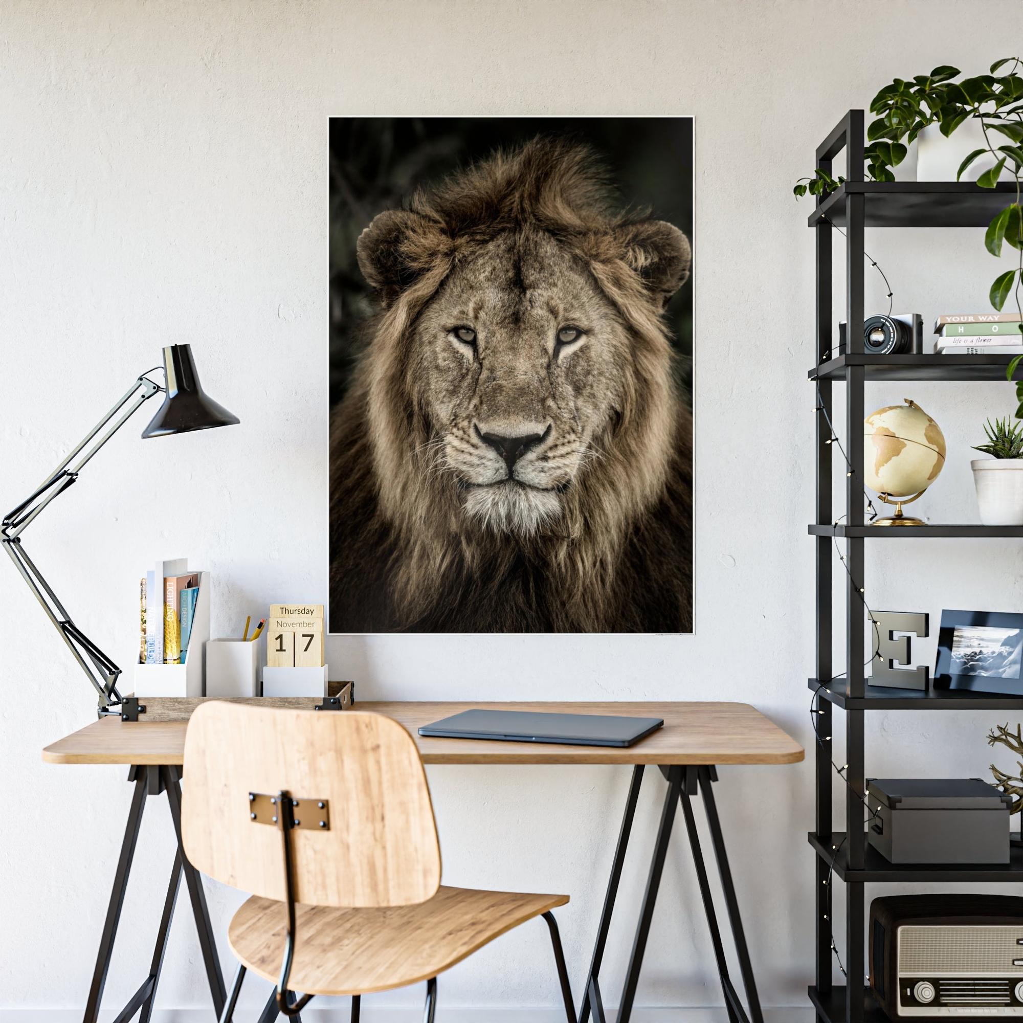Lions Lion's Strength: Canvas Print of the Fierce Predator in Action