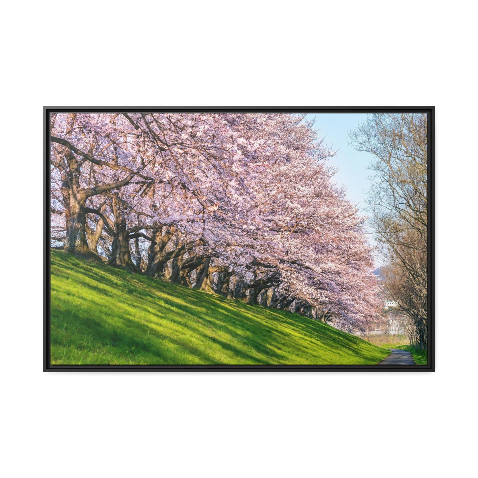 Cherry Trees Enchanted Forest: Cherry Trees on Canvas & Poster