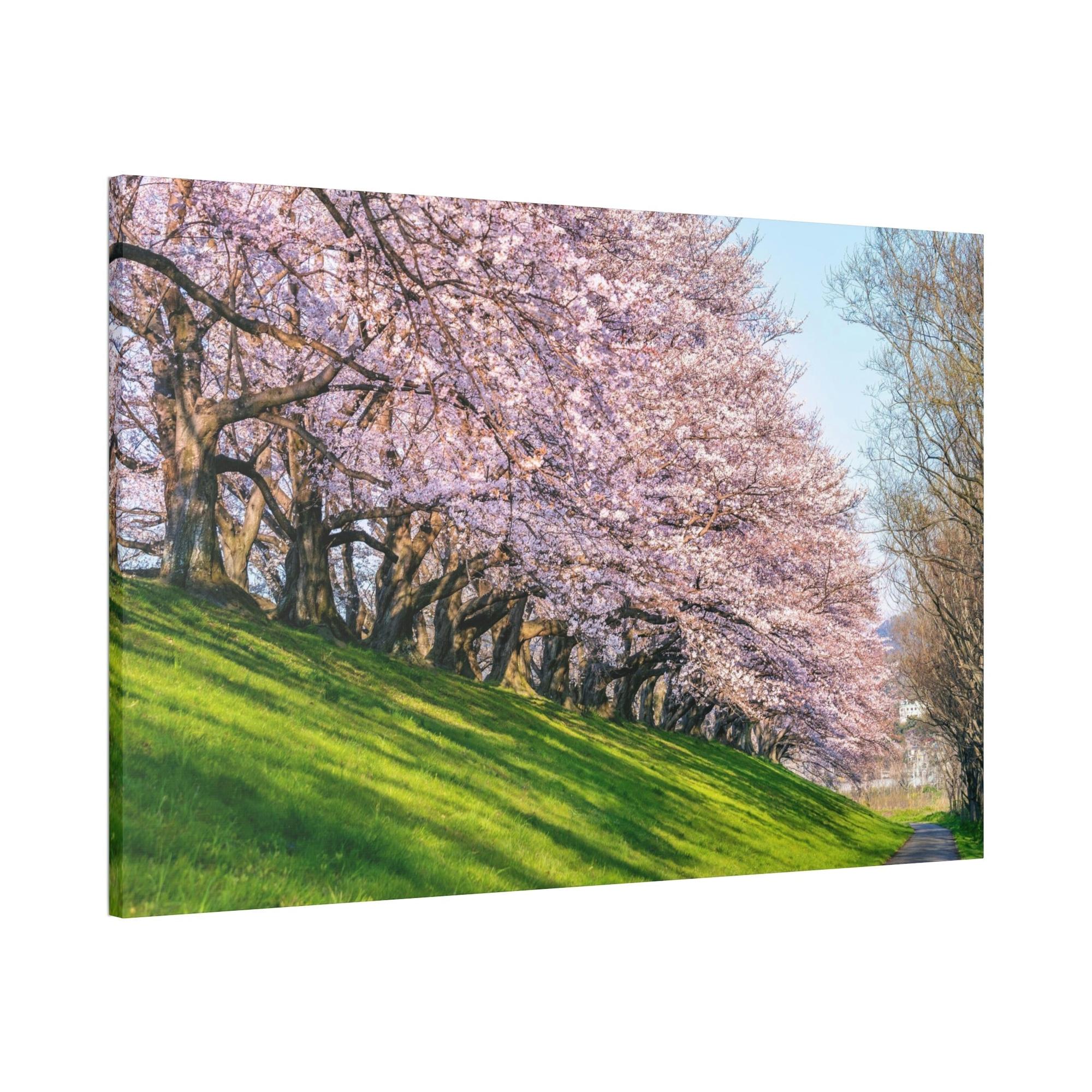 Cherry Trees Enchanted Forest: Cherry Trees on Canvas & Poster
