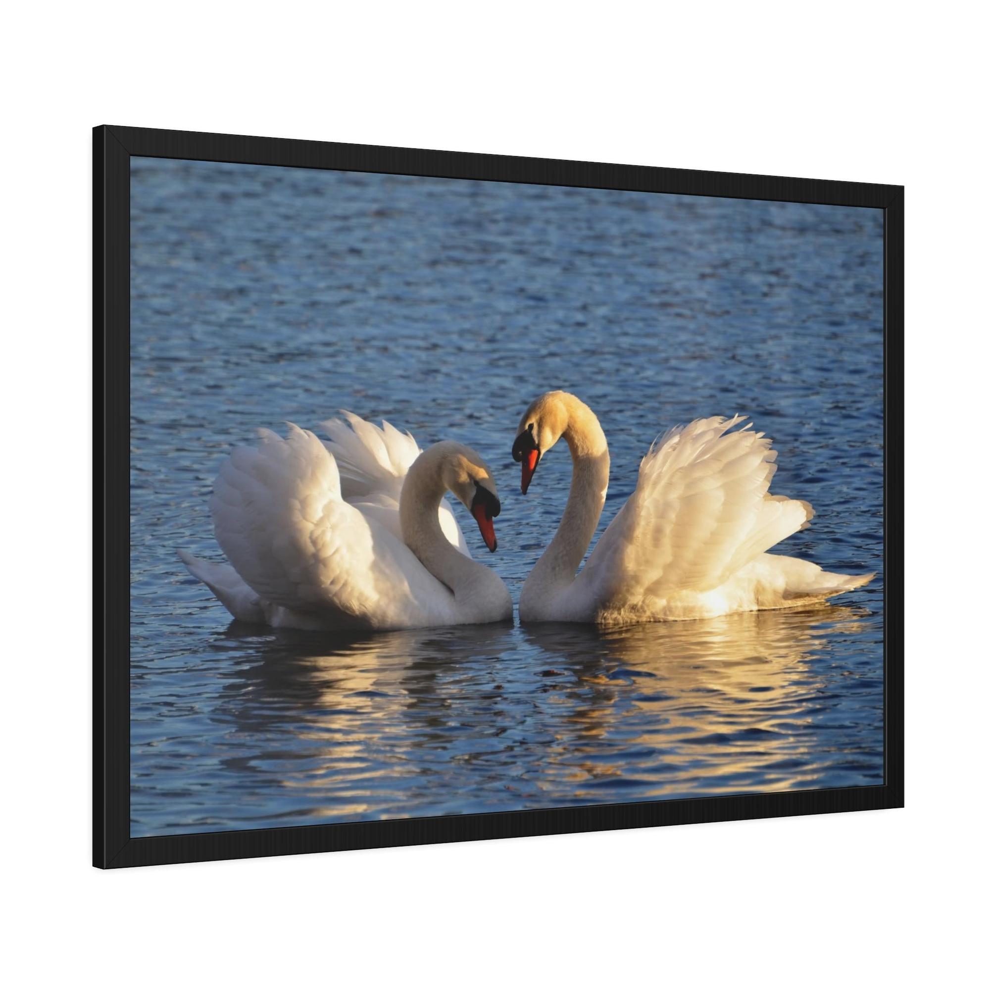 Swans Majestic Beauty: Canvas Wall Art Displaying the Grace and Strength of Swans