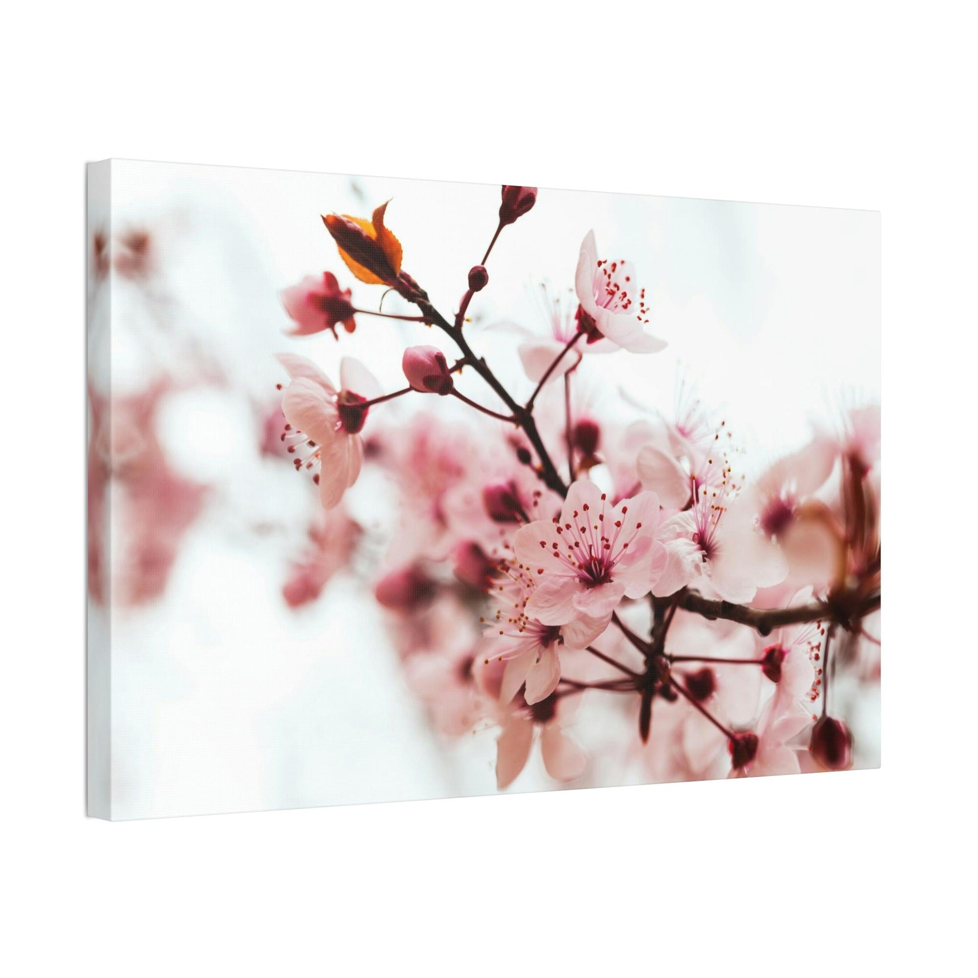 Almond Blossoms Blossoming Beauty: Almond Blossoms on Natural Canvas & Poster