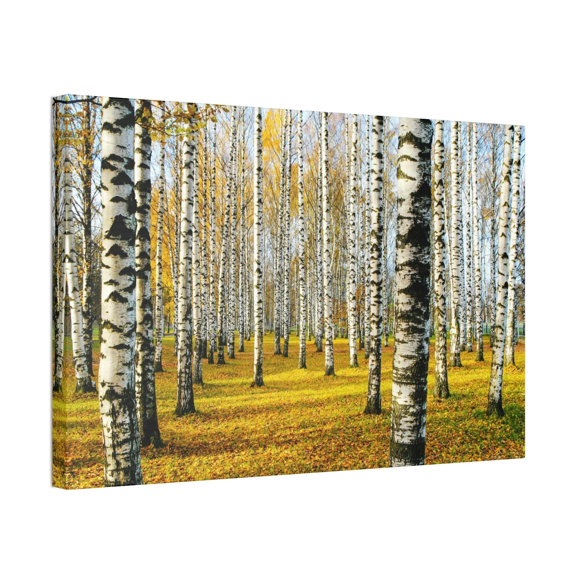 Aspen Trees The Serene Beauty of Aspen Trees: Wall Art for Your Home
