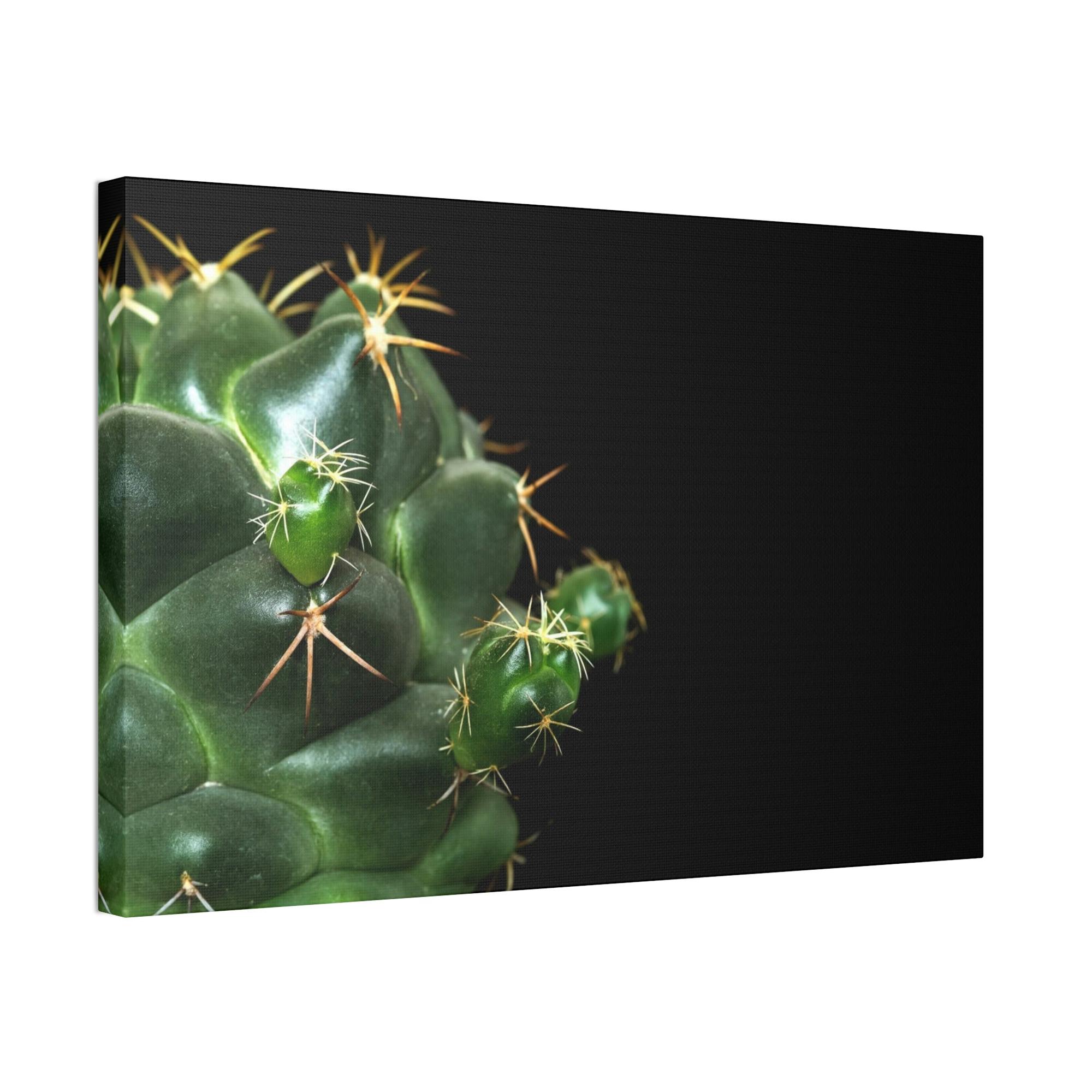 undefined Succulent Splendor: Natural Canvas Cactus Print for a Modern Look