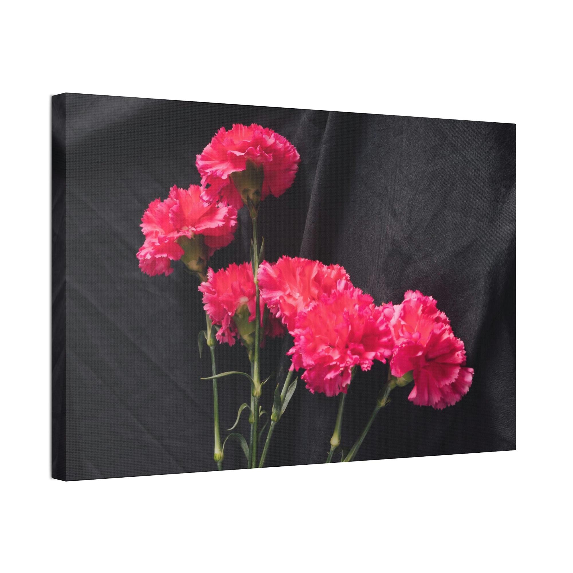 Carnations Beautiful Blooms: Natural Canvas and Art Prints of Carnations