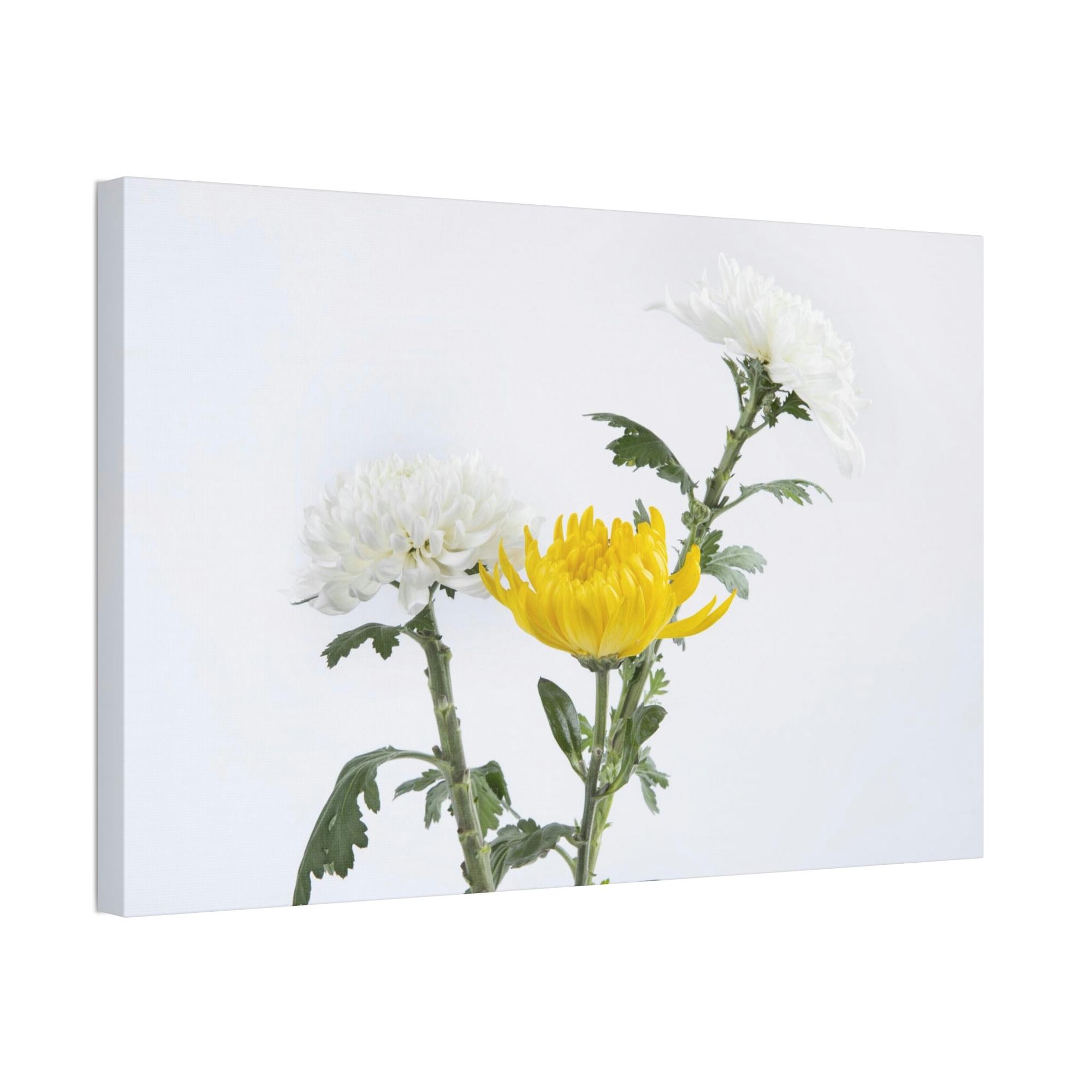 Chrysanthemums Floral Bliss: Poster & Canvas Art with Joyful Chrysanthemum Bouquet