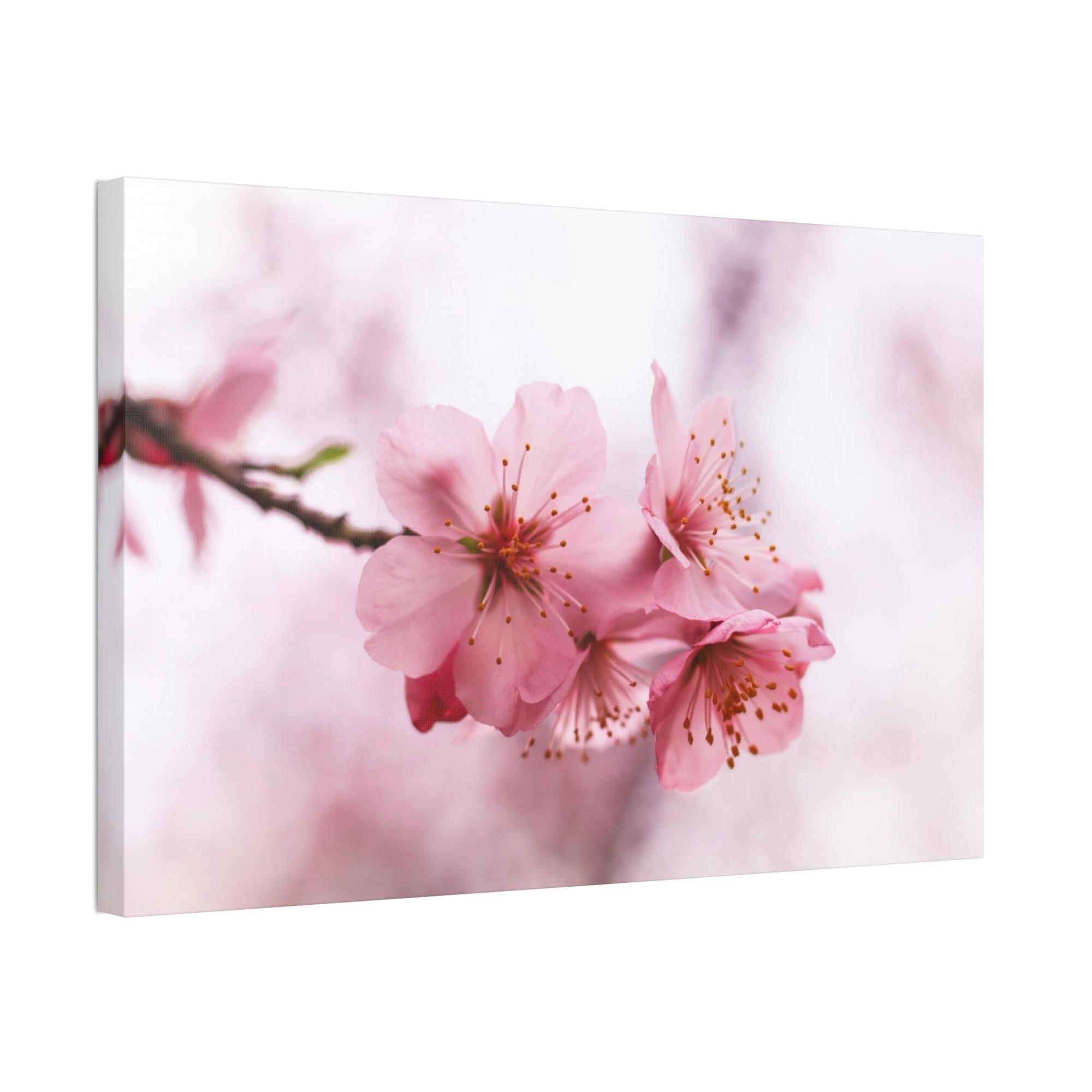 Cherry Blossoms Japanese Garden: Cherry Blossoms on Natural Canvas