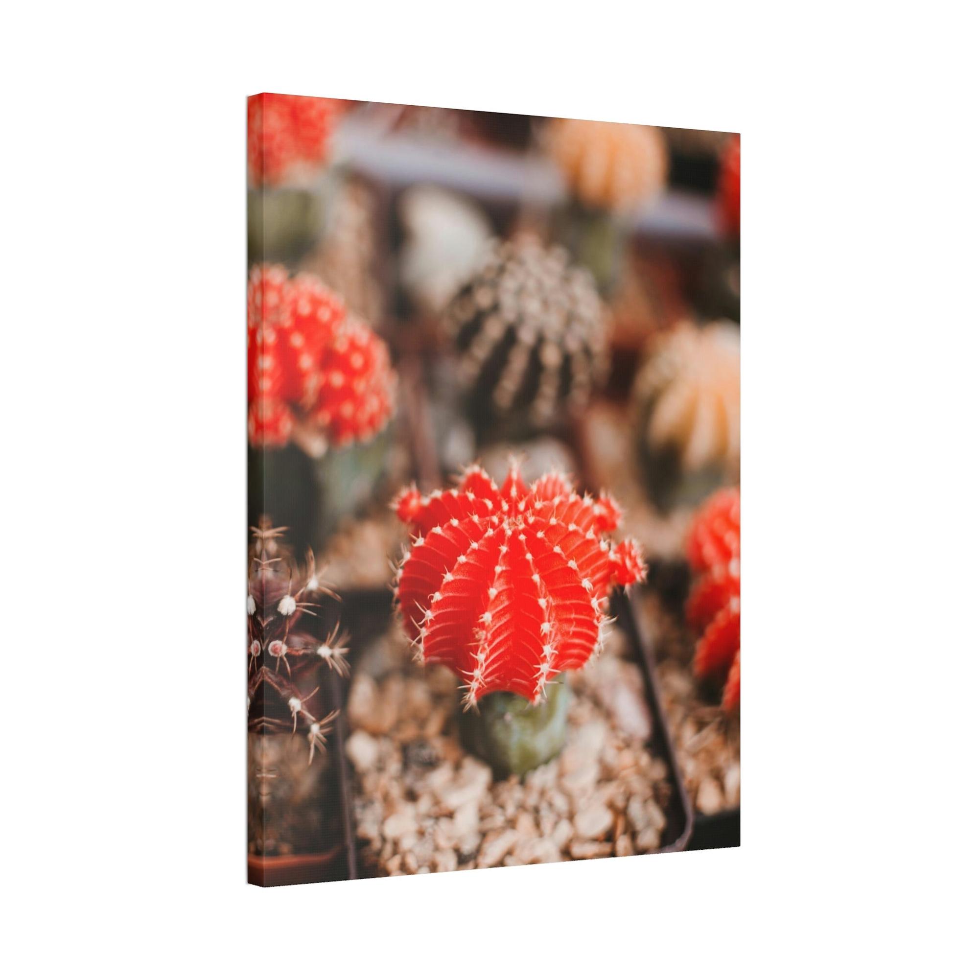 Cactus Cactus Kingdom: Canvas and Poster Prints of a Prickly Paradise
