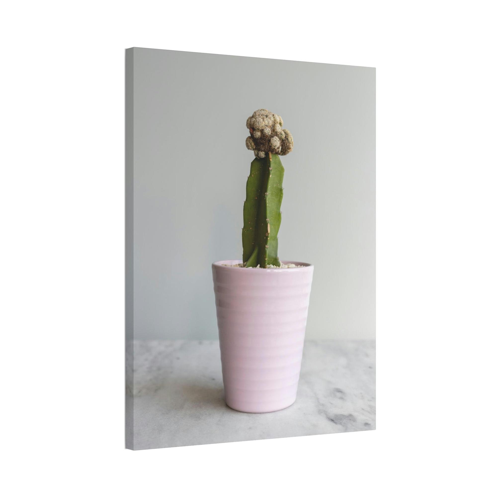 Cactus Botanical Bliss: Cactus Print on Canvas and Framed Art