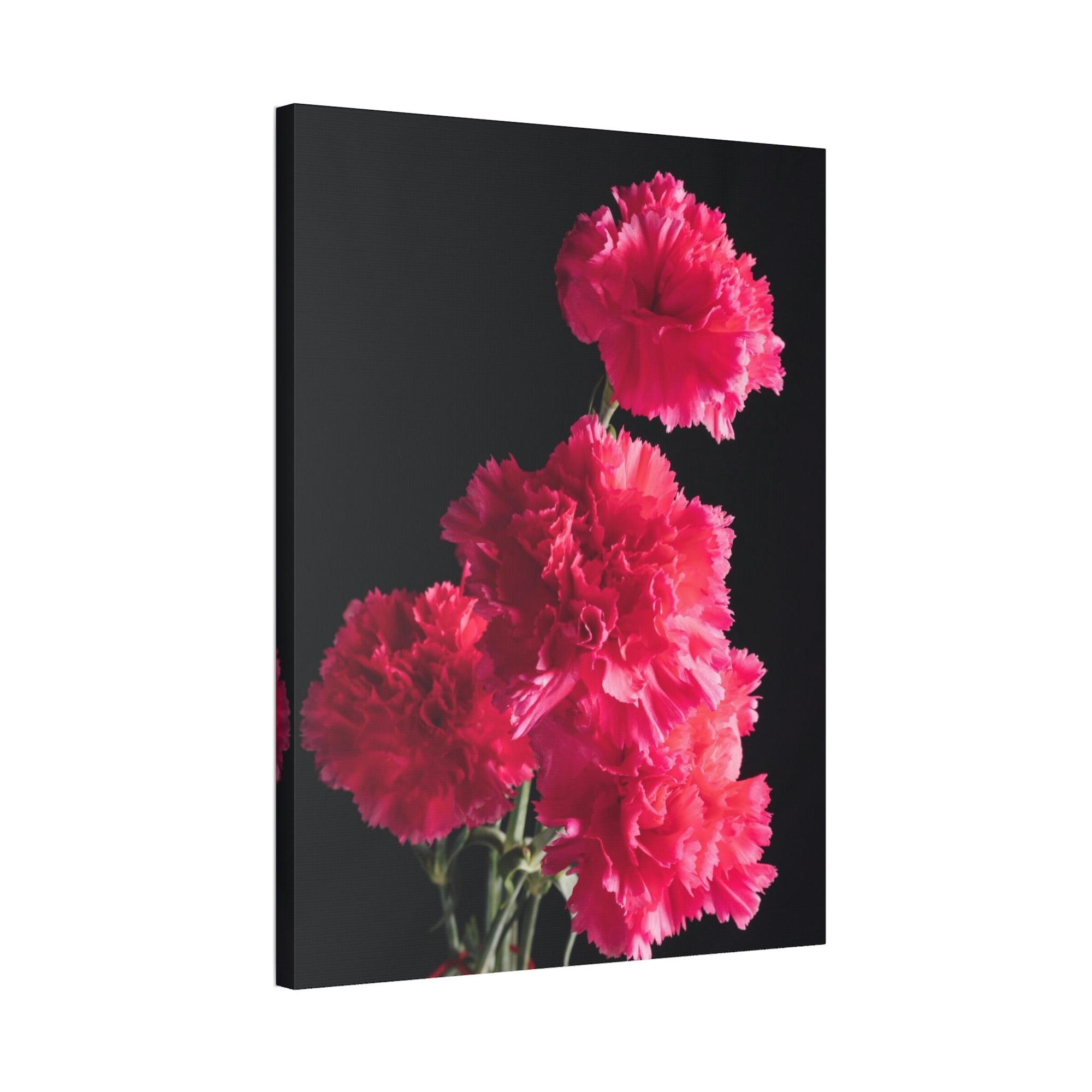 Caribbean Beach Blooming Beauty: Natural Canvas and Art Prints of Carnations for Your Home