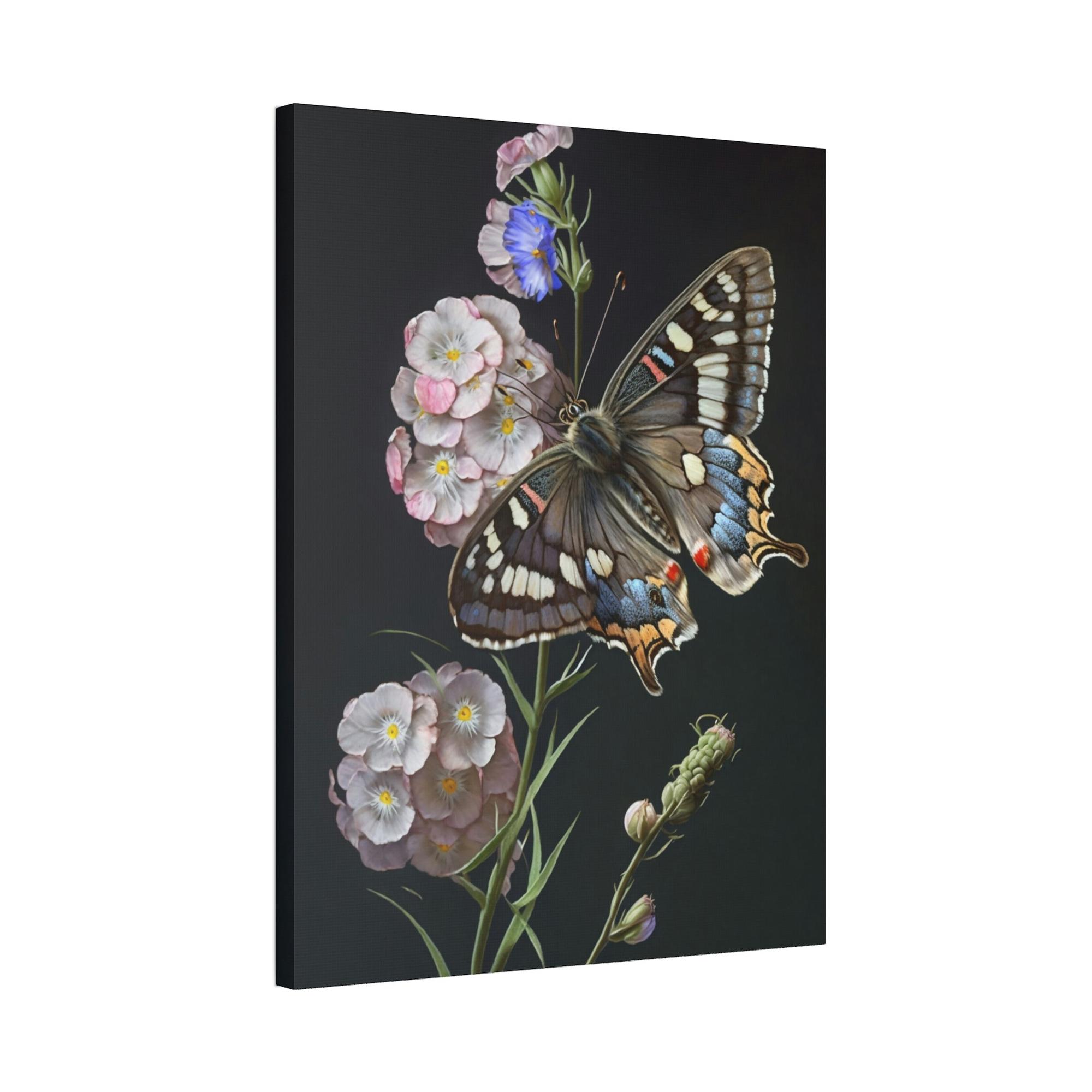 Butterflys One Butterfly: Framed Canvas & Poster Print Capturing the Beauty of a Single Insect