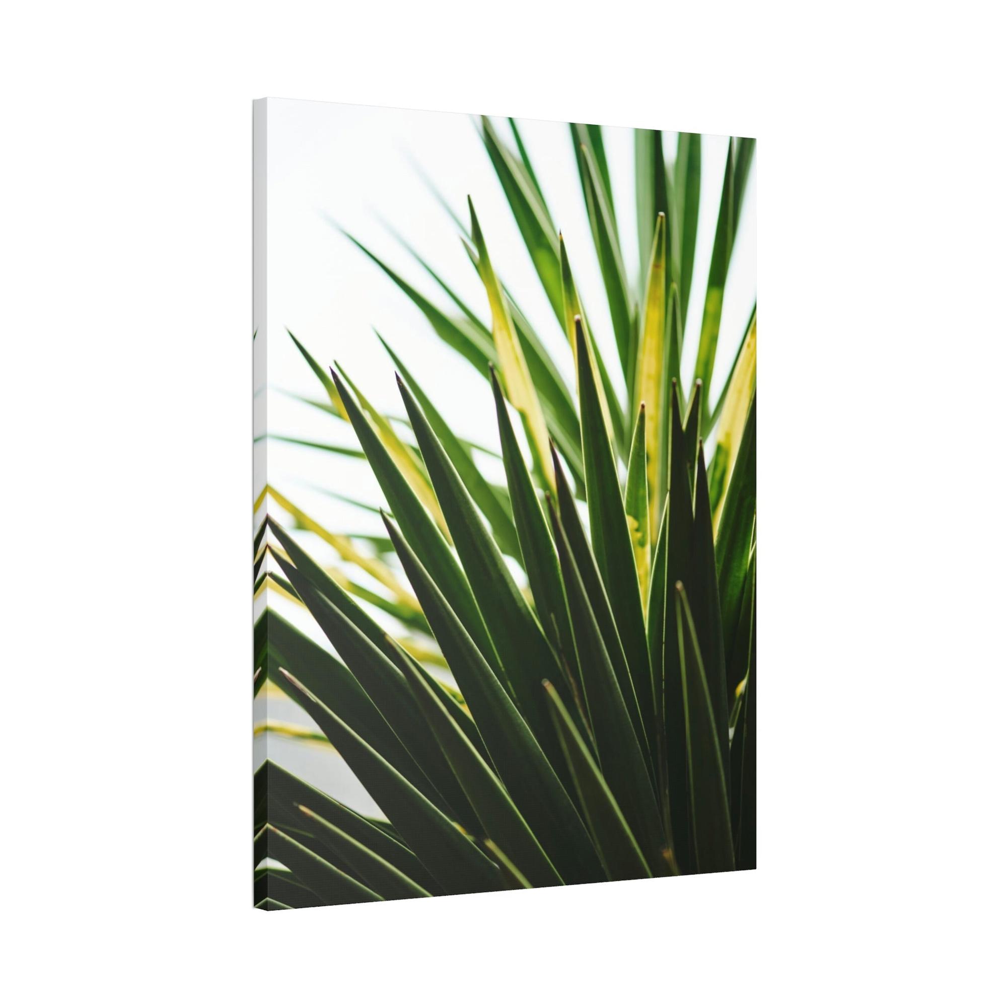 Plants The Majesty of Plants: A Regal Display of Nature's Splendor