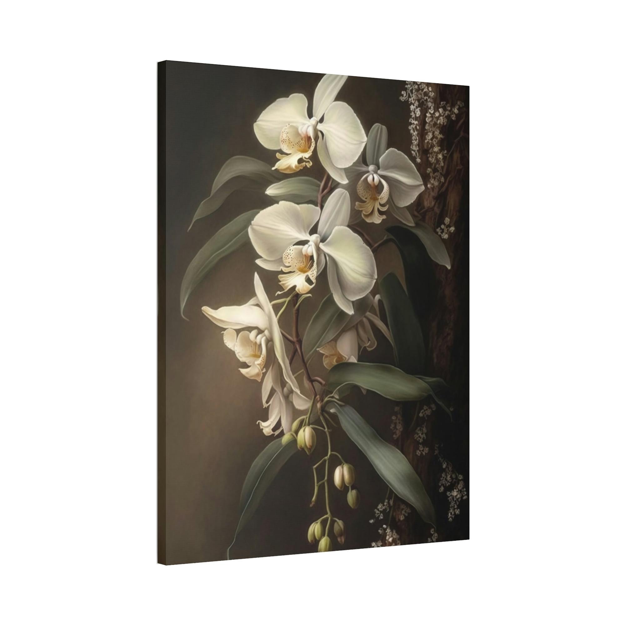 Orchids Orchid Bliss: Tranquility on Canvas