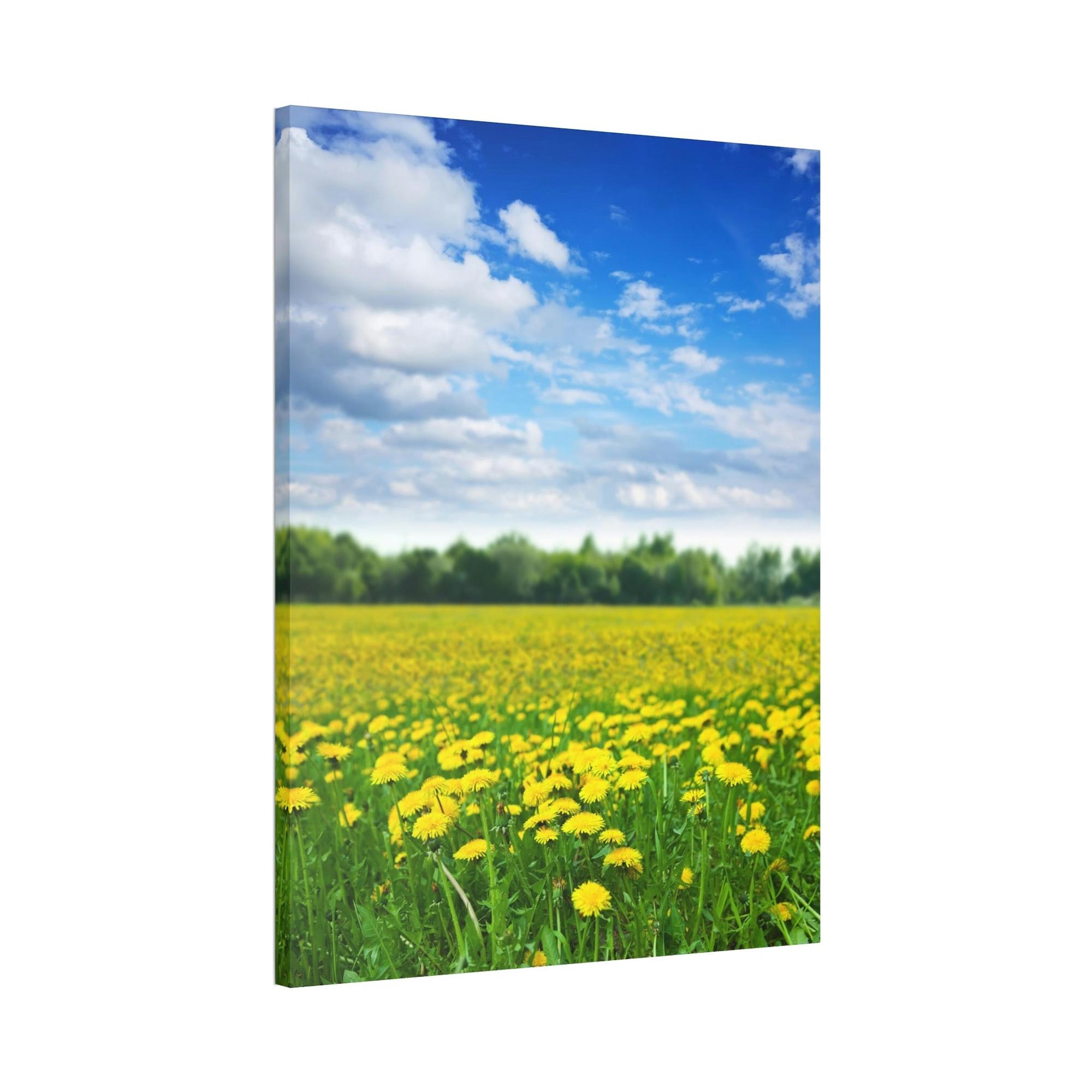 Spring The Joy of Spring: A Celebration of the Season's Endless Delights