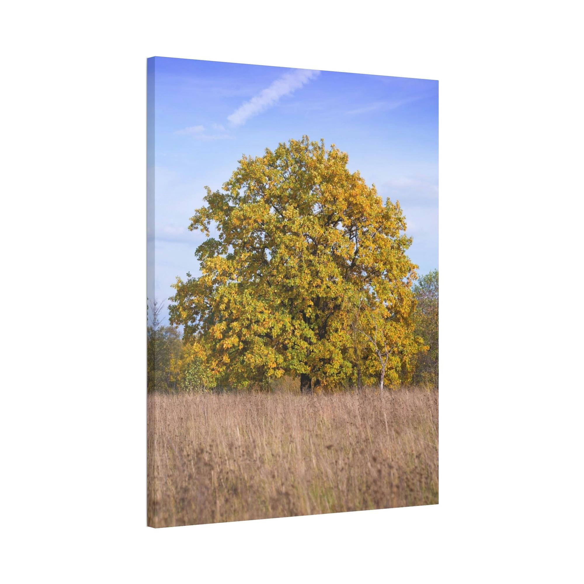 Oak Trees Whispers in the Wind: A Mystical Encounter with the Enchanting Oak Tree