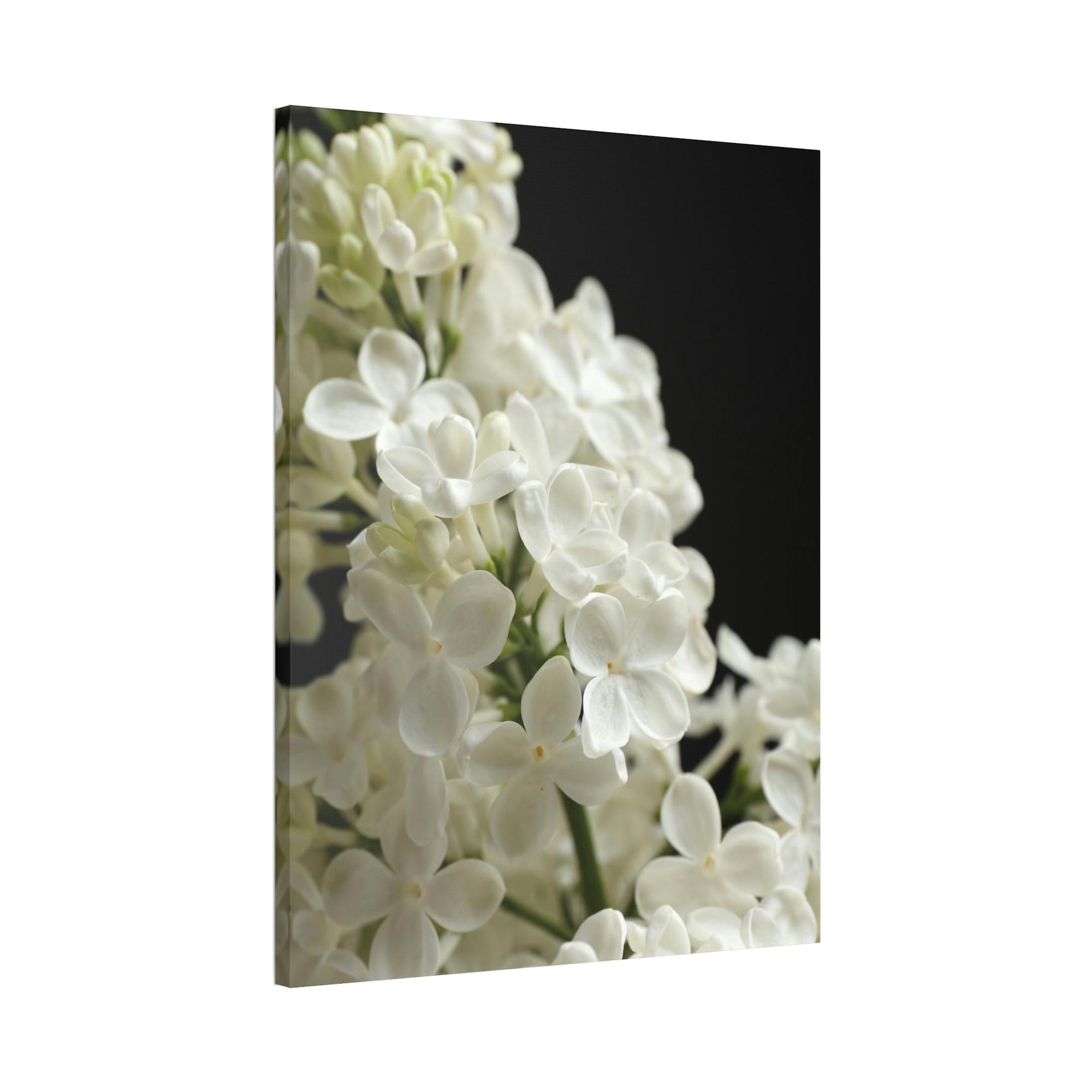 Lilacs The Majestic Lilacs: A Royal Presen