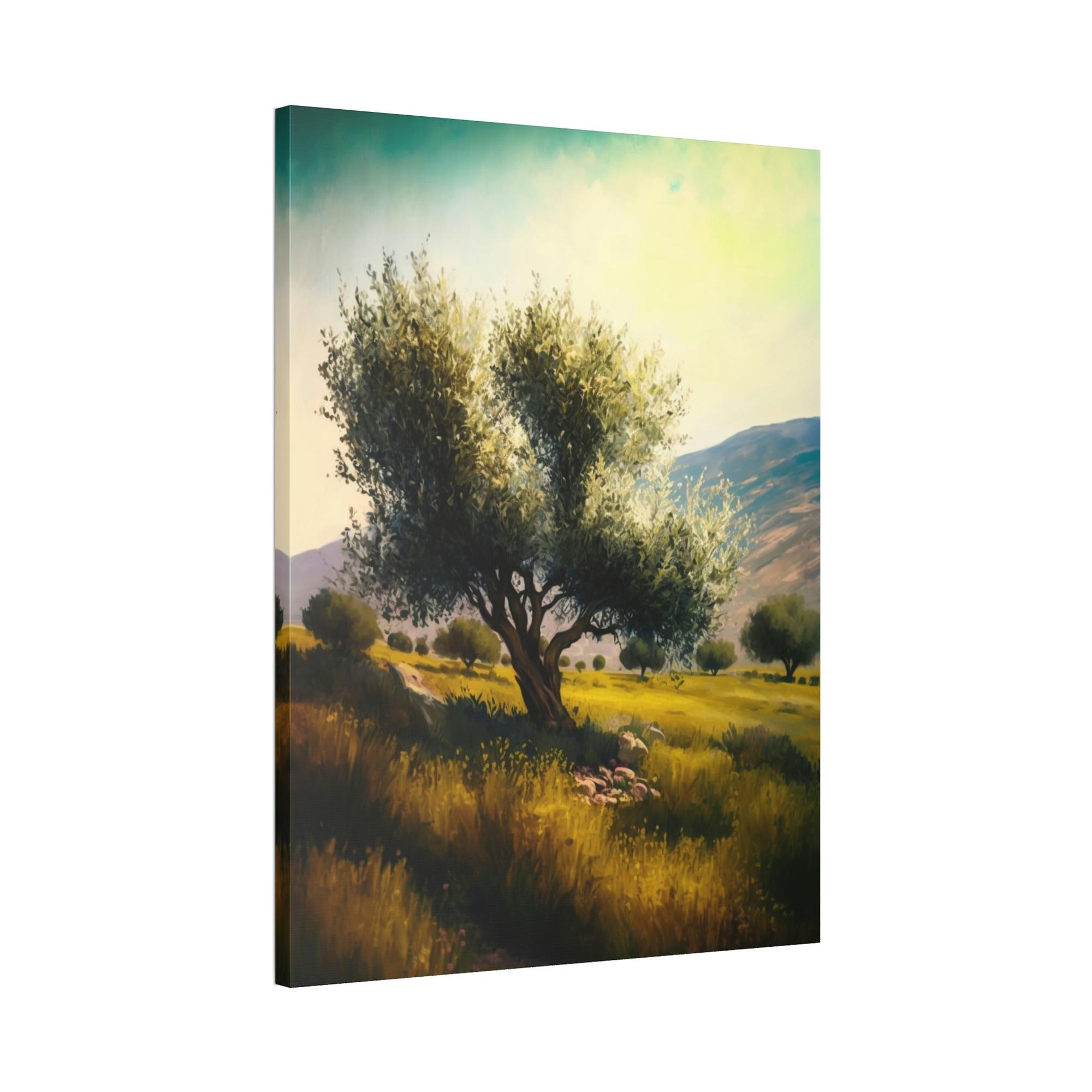 Olive Trees Shades of Green: A Tranquil and Serene Portrait of Olive Trees in Nature's Embrace