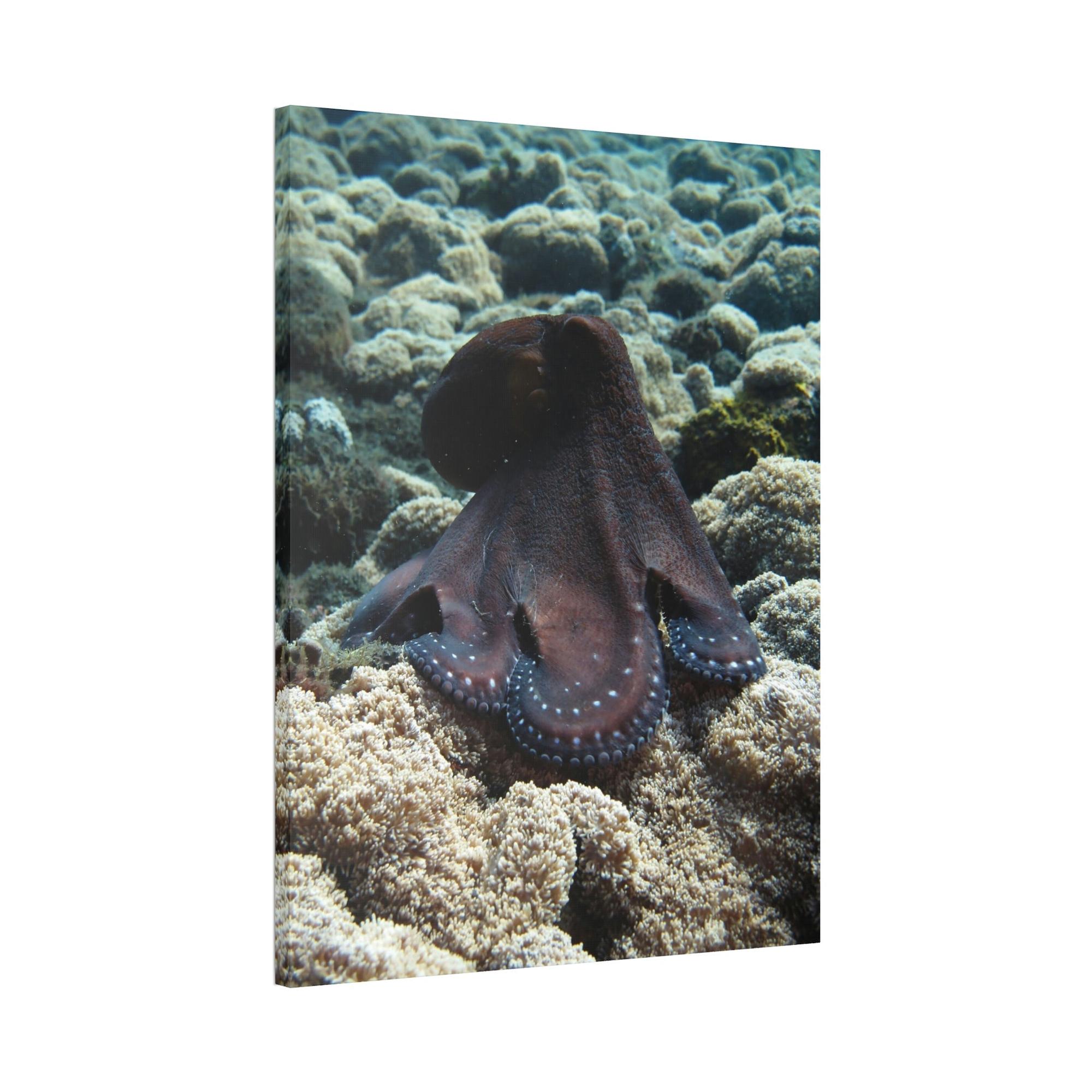 Octopuses The Enchantment of Octopuses: A Mysterious and Captivating Painting on Canvas
