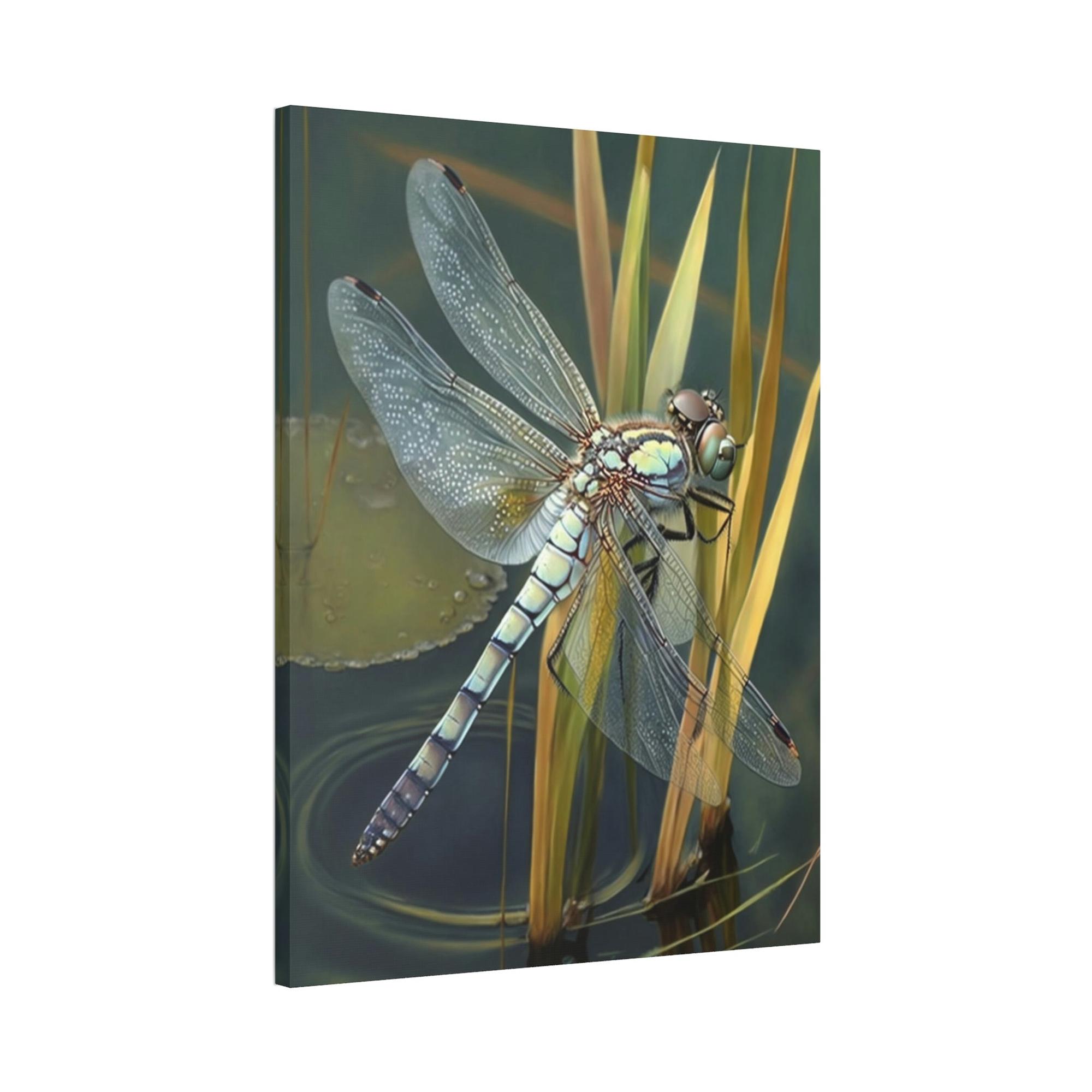 Dragonfly Dragonfly's World: A Framed Poster of These Lovely Insects