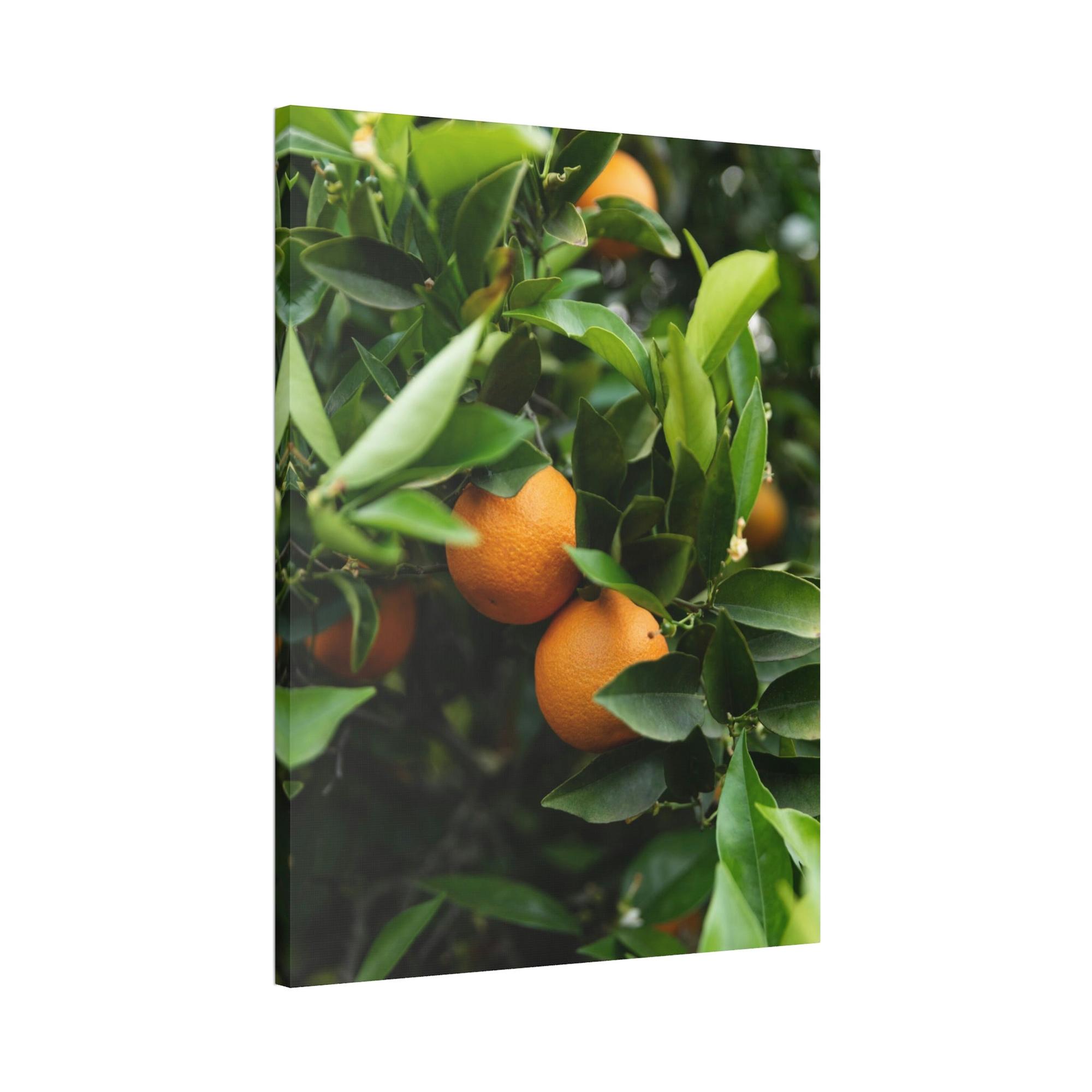 Fruit Trees Vivid Orchard: Fruit Trees Canvas Wall Decor