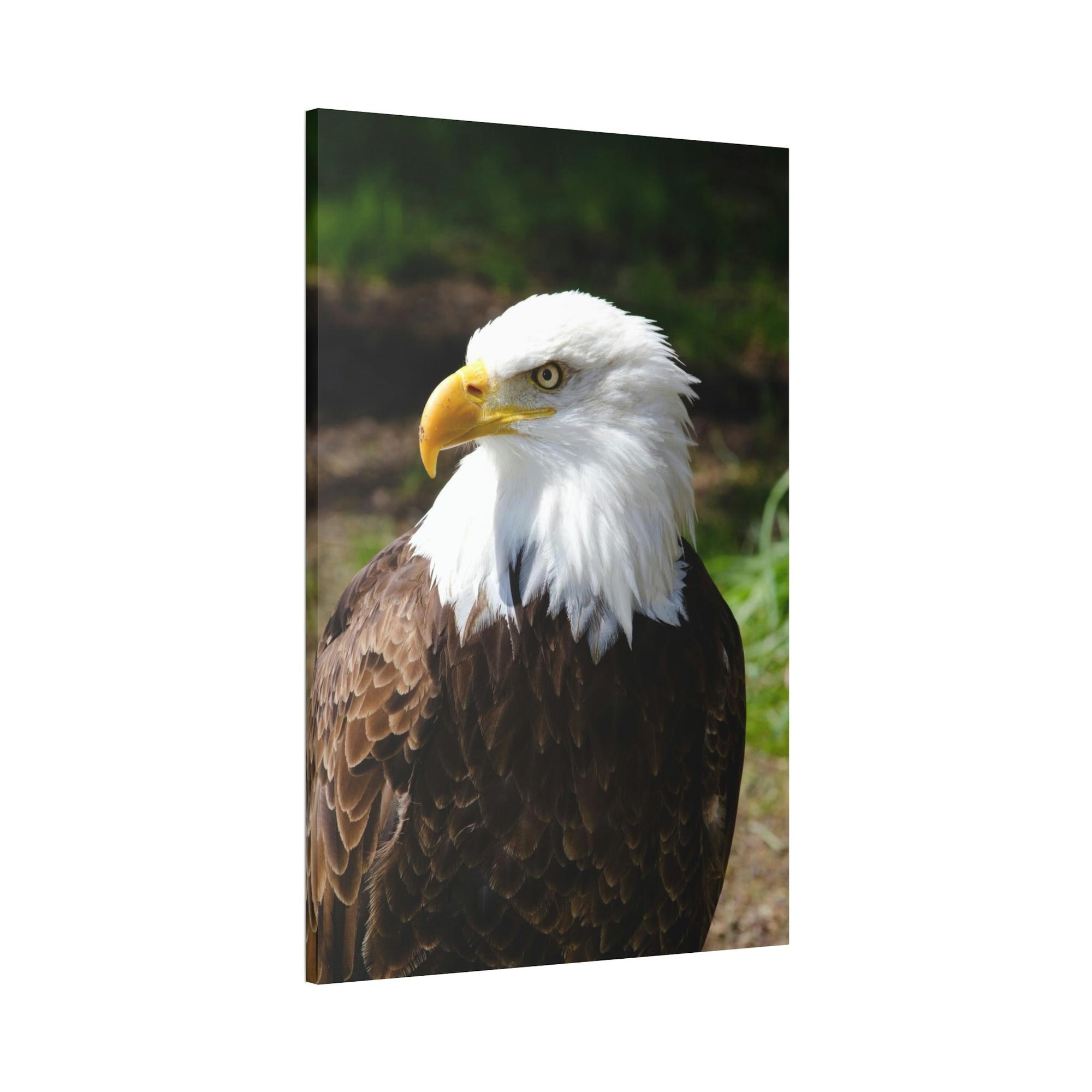 Eagles Eagles in the Wild: Canvas Wall Art Celebrating these Noble Creatures