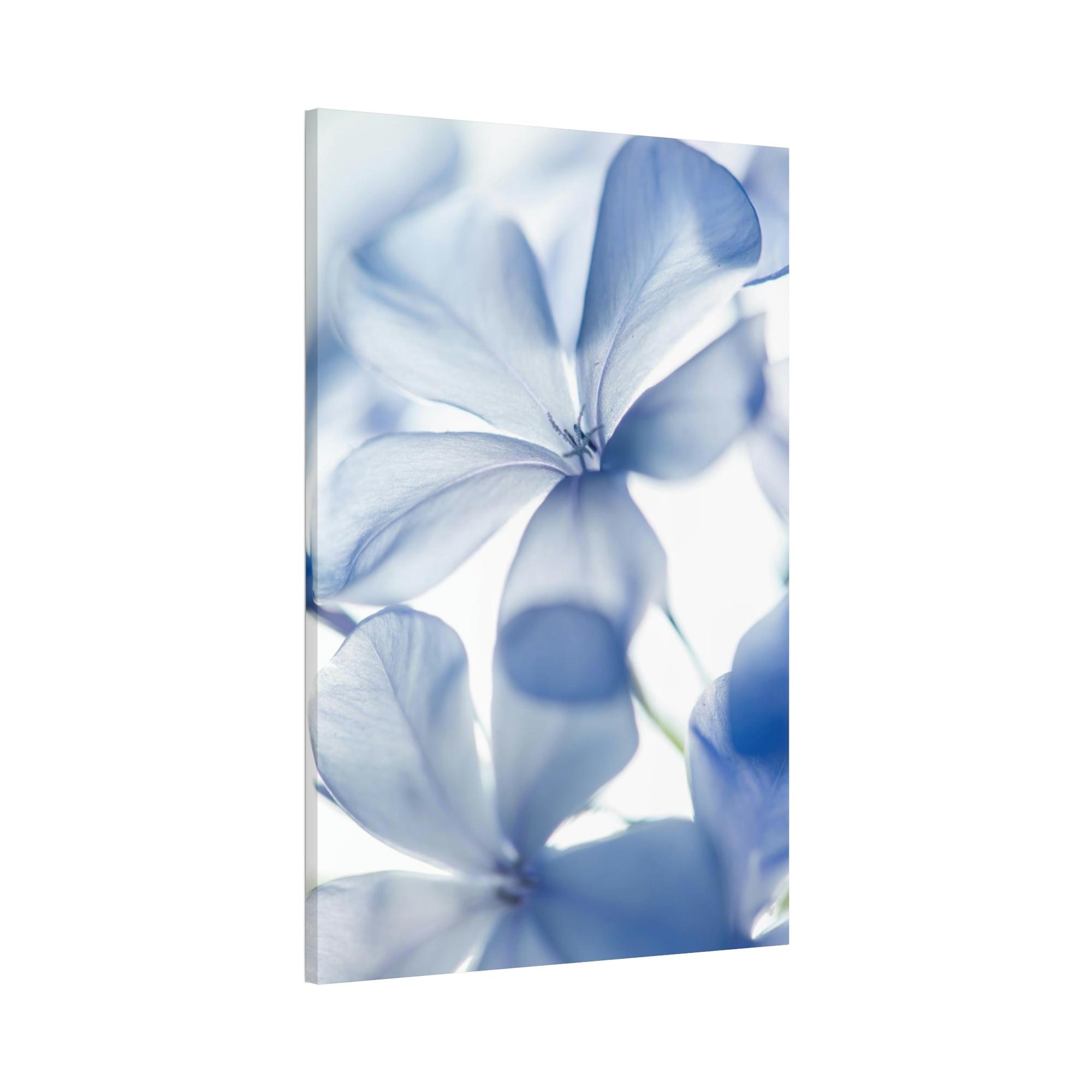 Floral Floral Whispers: Nature's Soft Symphony