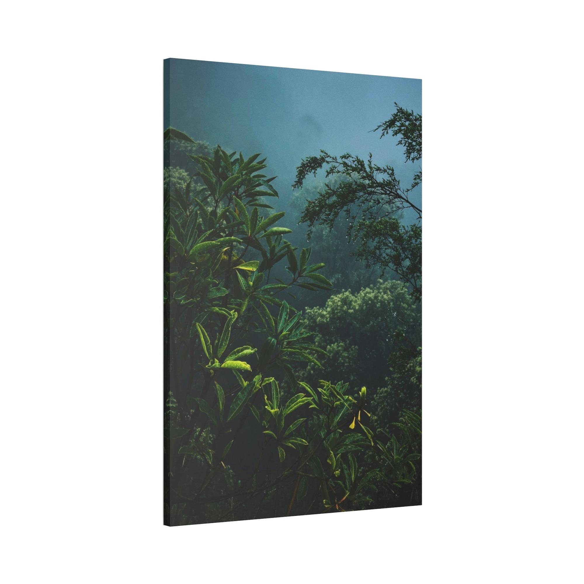Forests And Jungles Forest and Jungle: A Haven of Tranquility and Serenity