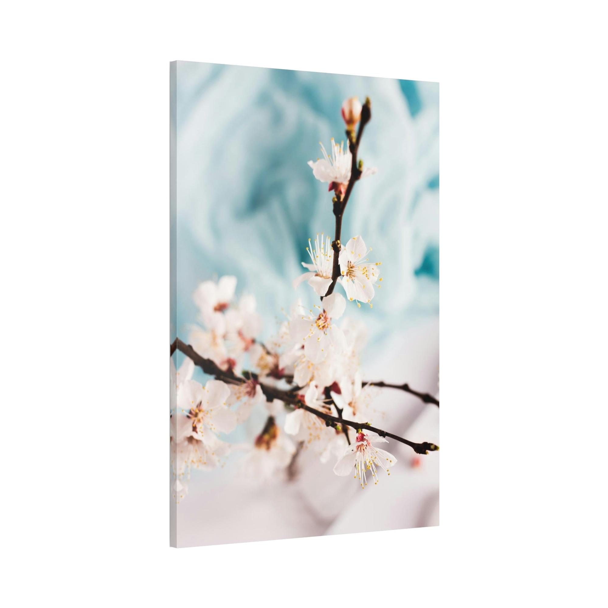 Cherry Blossoms Fragile Elegance: Cherry Blossoms on Artistic Print