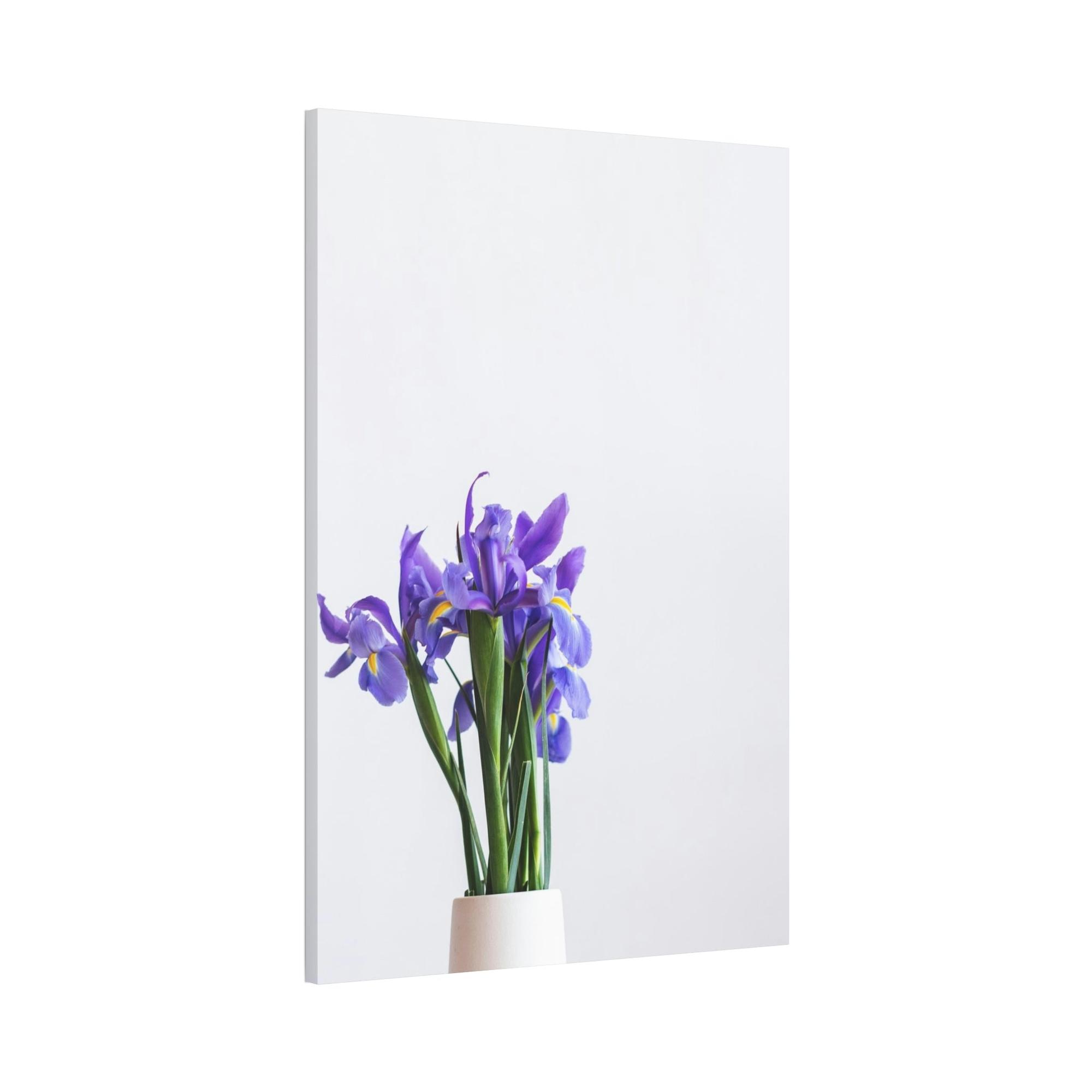 Irises Iris Oasis: A Canvas of Cool Breezes and Serenity