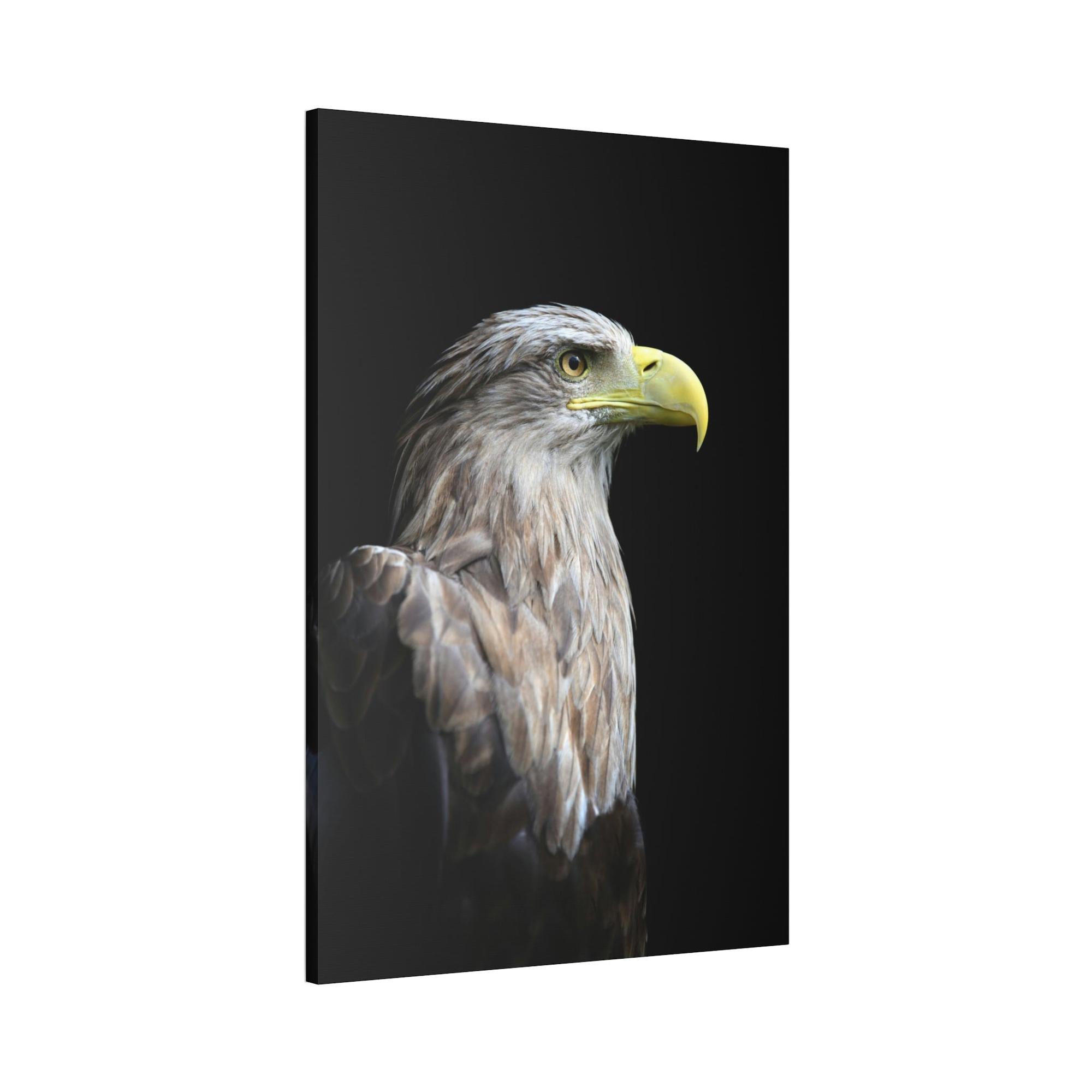 Eagles Eagle's Resilience: Inspiring Canvas Print, Showcasing their Indomitable Spirit