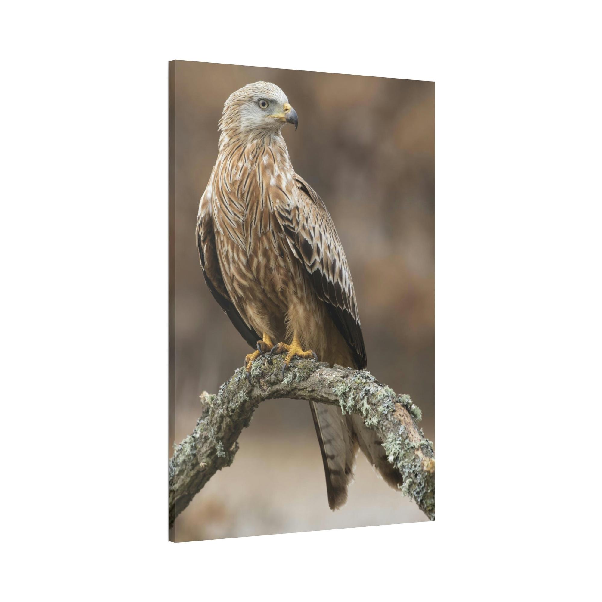Eagles Wings of Majesty: Poster & Canvas Celebrating the Power of Eagles