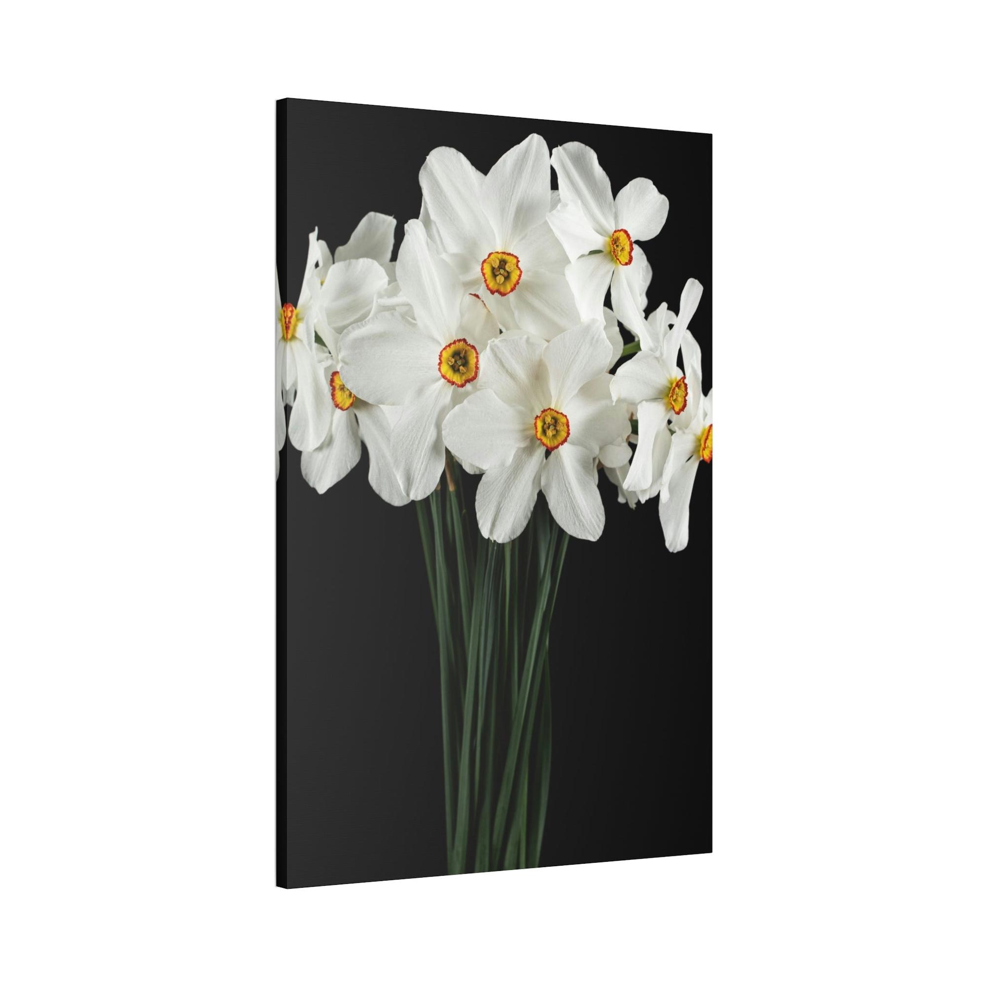 Daffodils Daffodil Euphoria: A Blissful Awakening