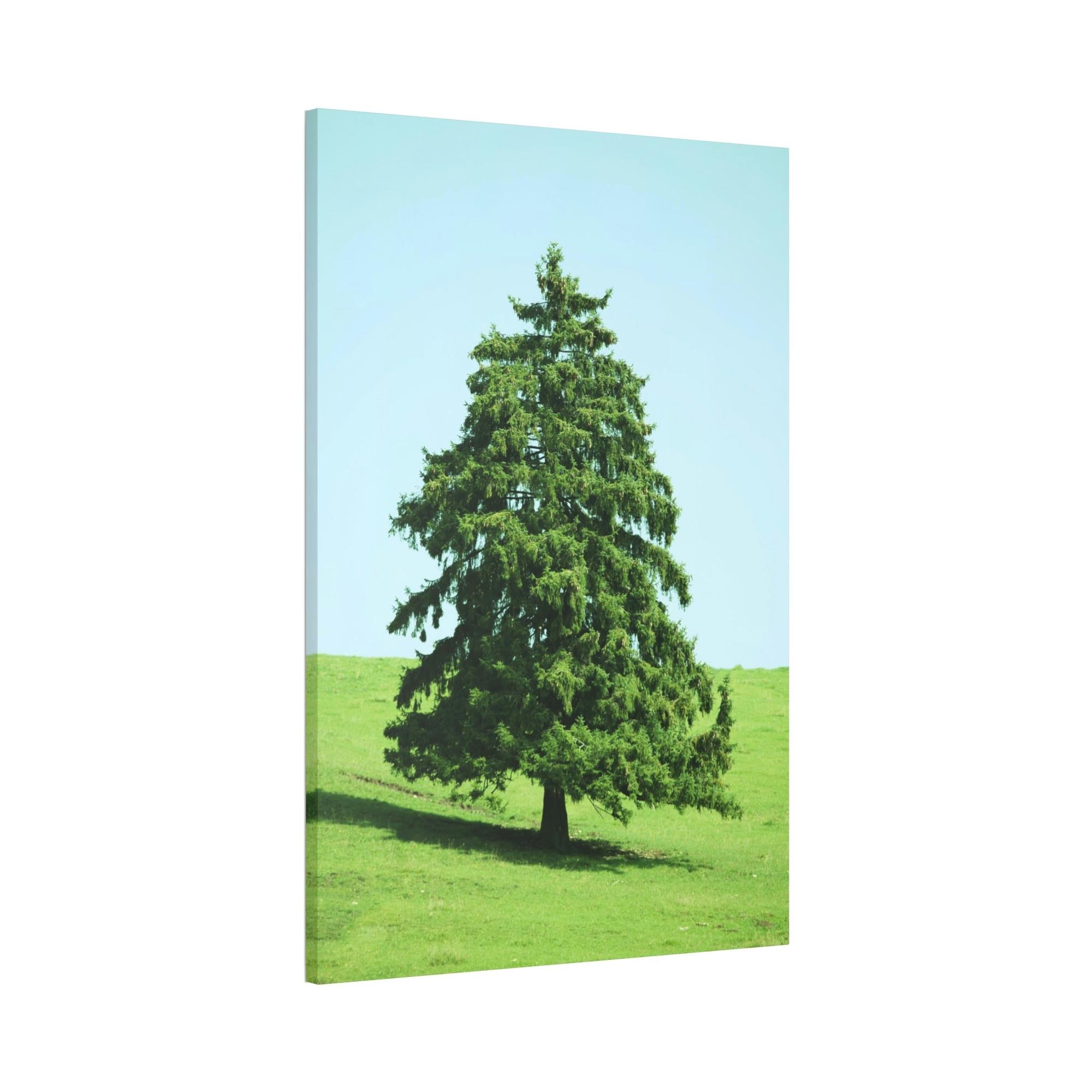 Cypress Tree A Cypress Oasis of Beauty and Tranquility: A Haven of Serenity and Peace
