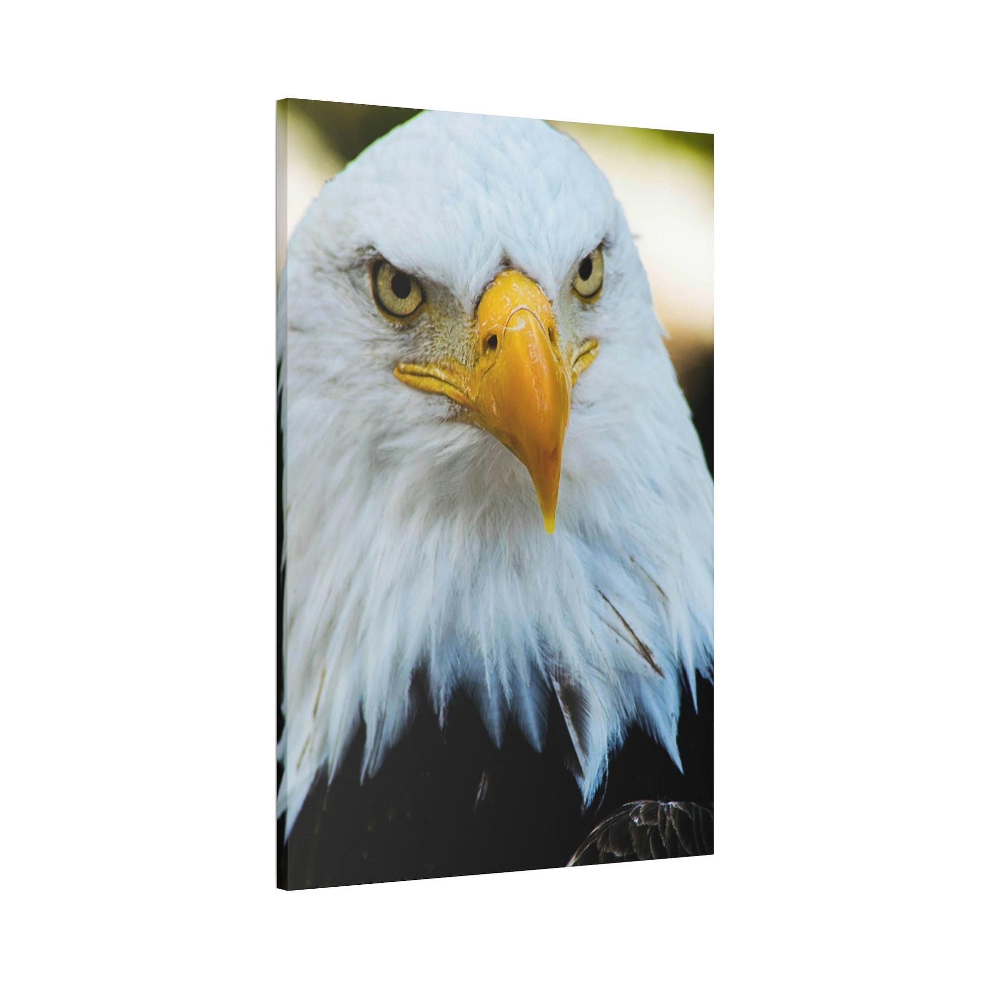 Eagles Eagle's Vigil: Canvas & Poster Enchanting with the Gaze of Majestic Birds
