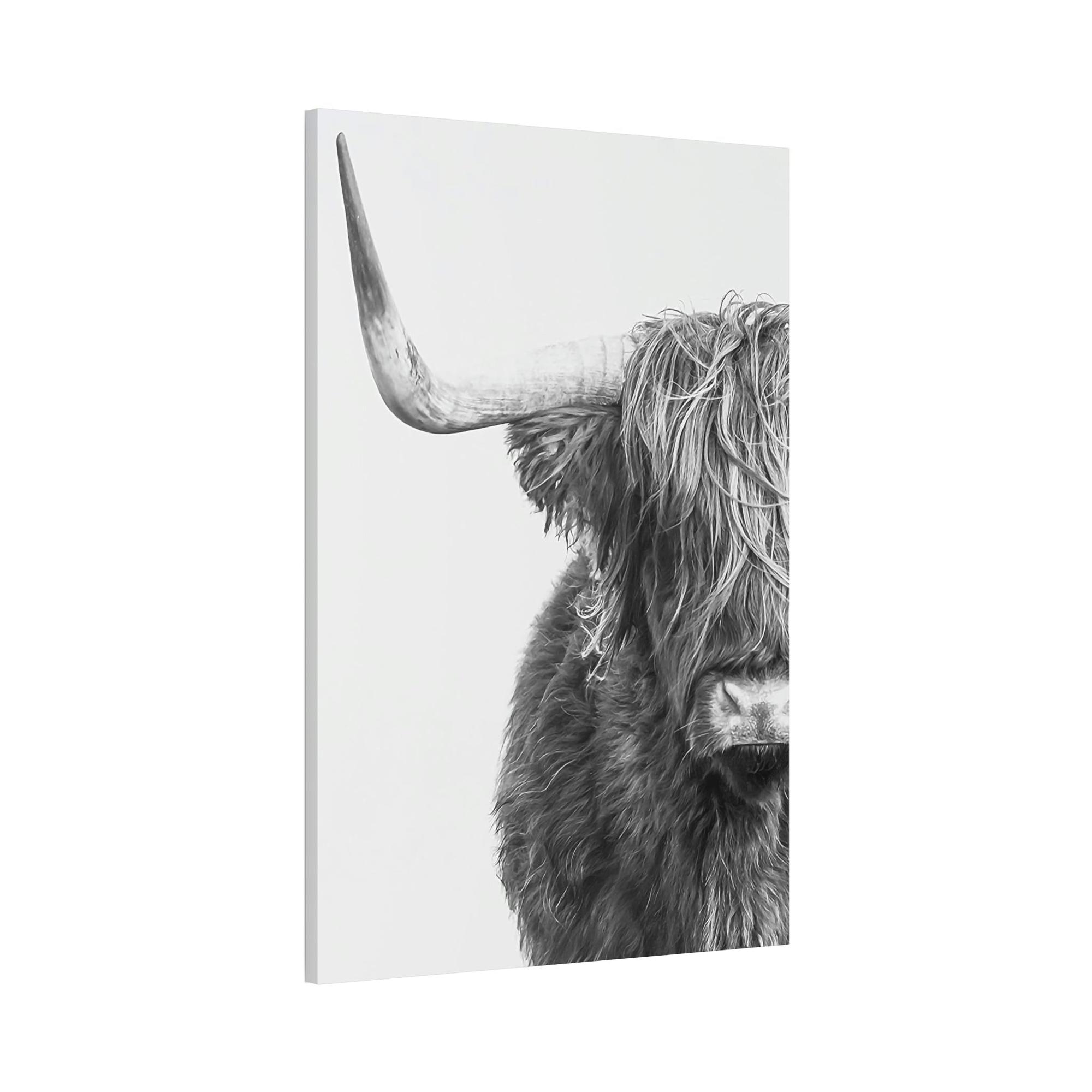 Highland Cow Highland Cow | Black & White Art | Animal Art — Pixoram