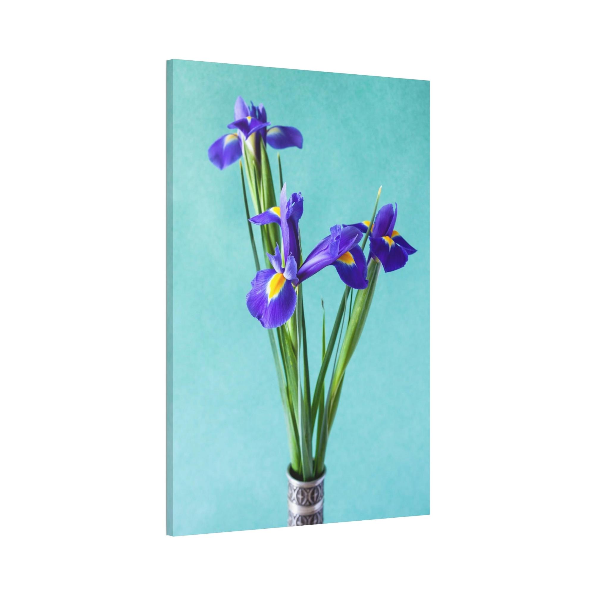 Irises Iris Radiance: A Canvas of Bright and Bold Blossoms
