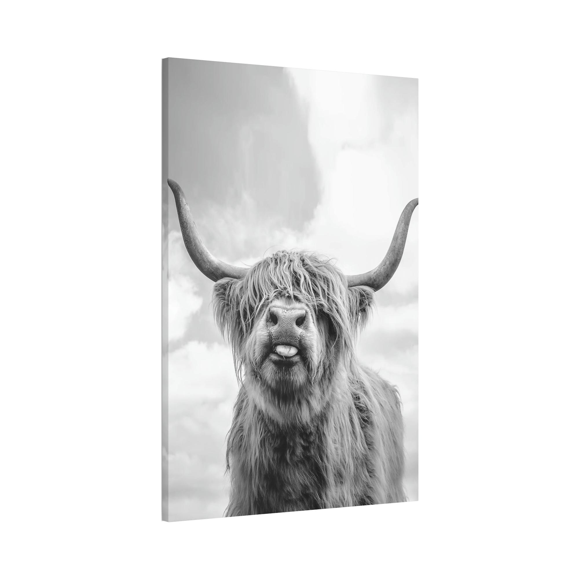 Highland Cow Highland Cow | Wooly Cattle | Black-White Art — Pixoram