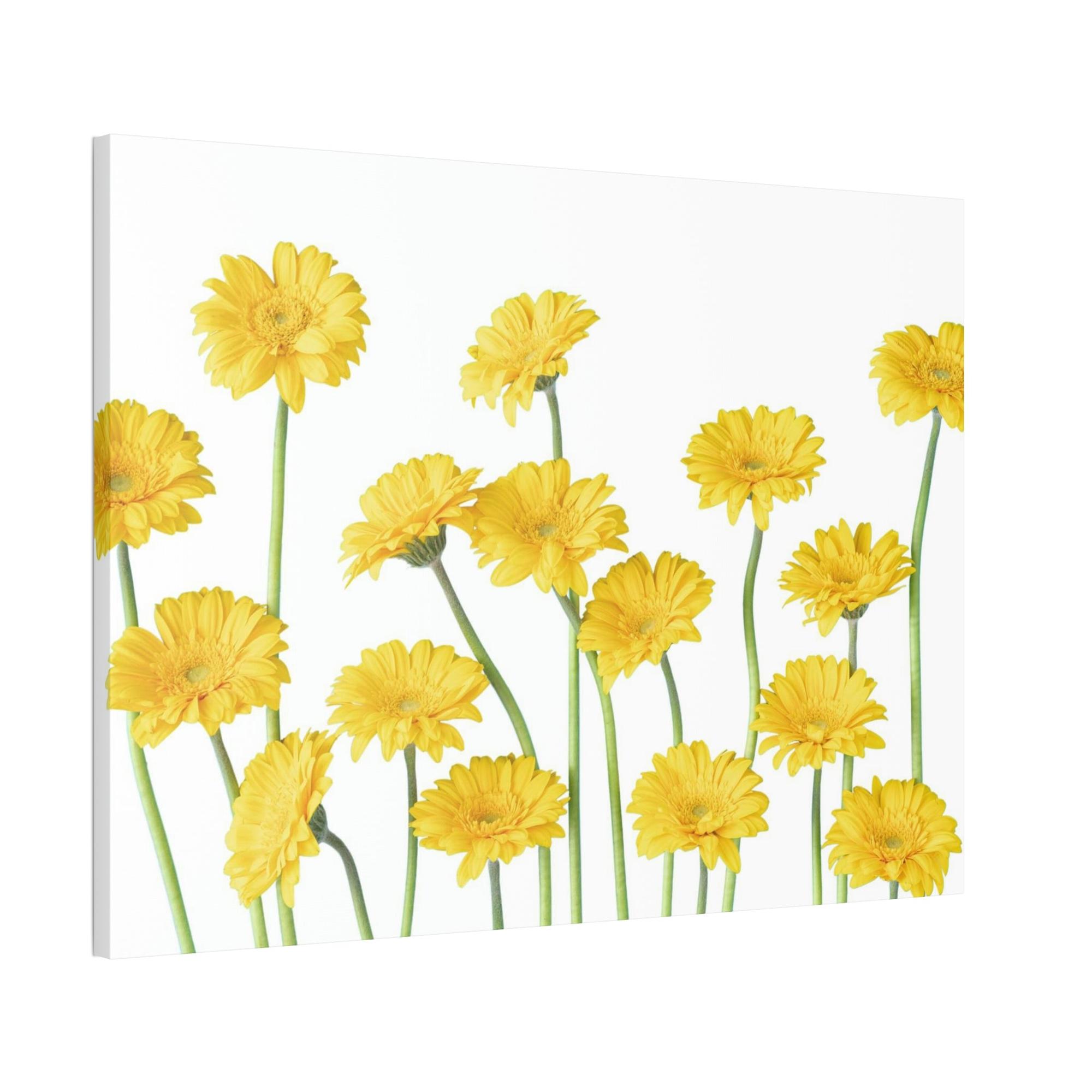 Floral Floral Frenzy: A Burst of Blossoms