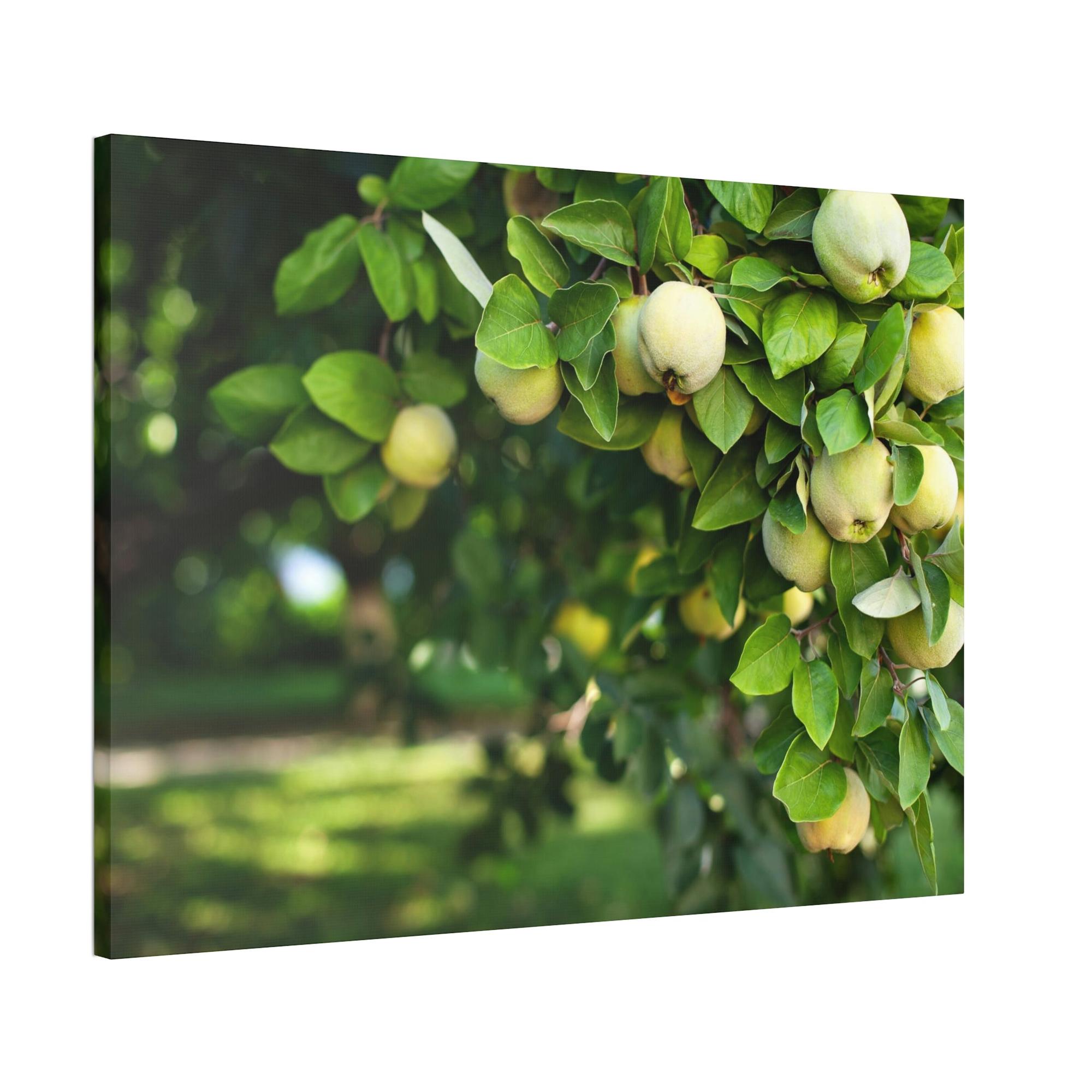 Fruit Trees Harvest Time: Fruit Trees Painting on Canvas