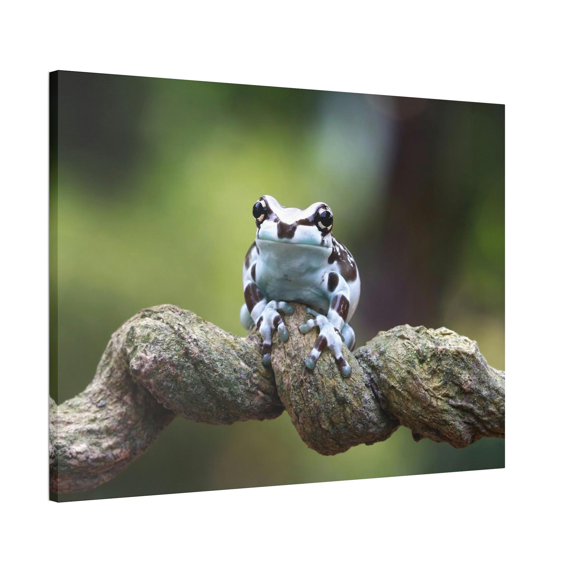 Frogs The Magic of Frogs: A Mystical Journey Through Nature's Realm