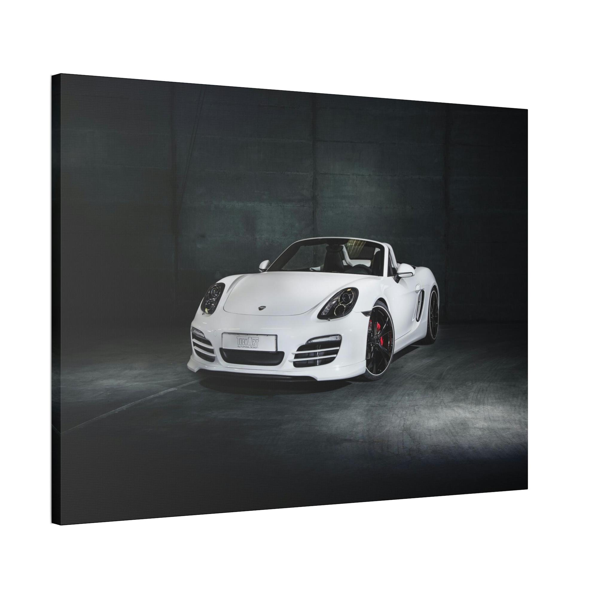 Porsche The Porsche Soul: An Inspiring Natural Canvas & Poster Print