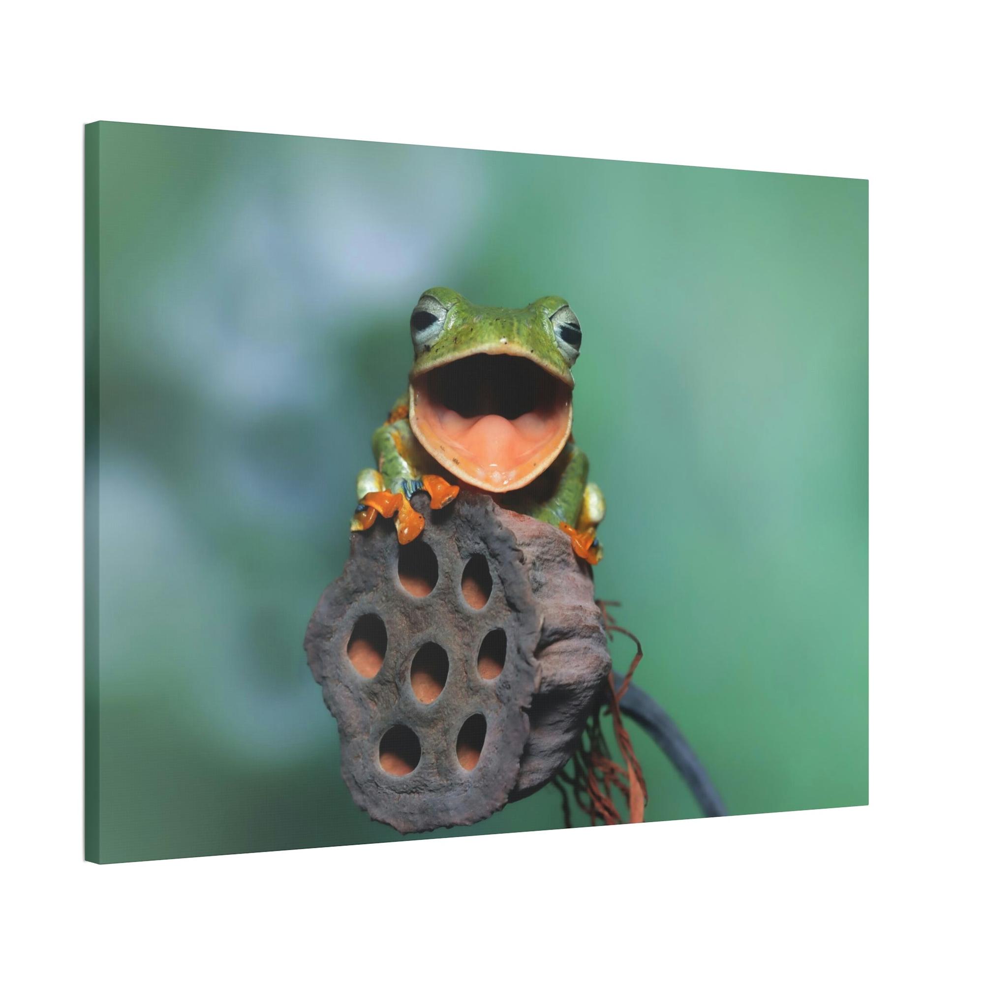 Frogs A Frog's World: An Exploration of Amphibian Life and Habitats