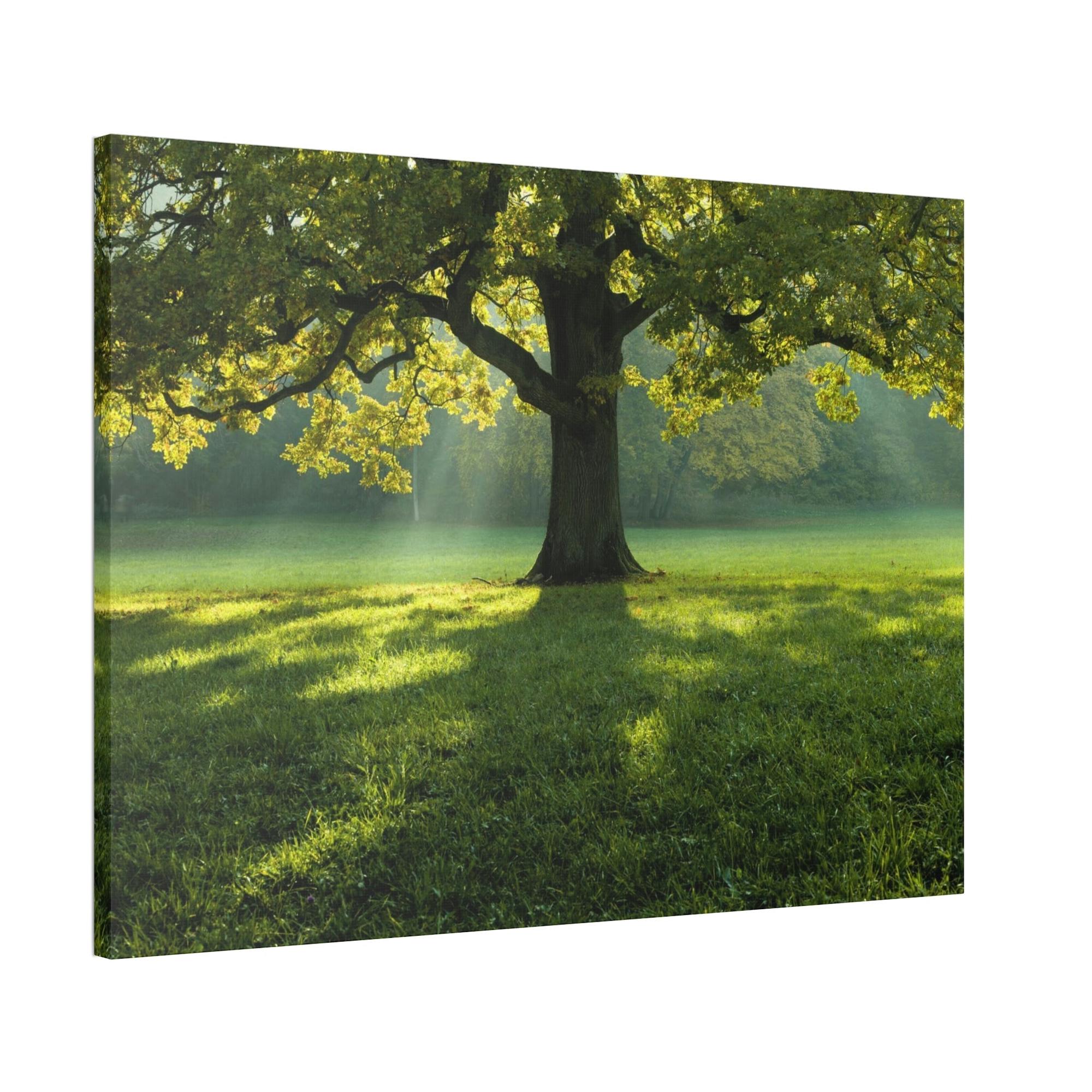 Trees The Tree of Life: A Soaring Tribute to the Power of Nature