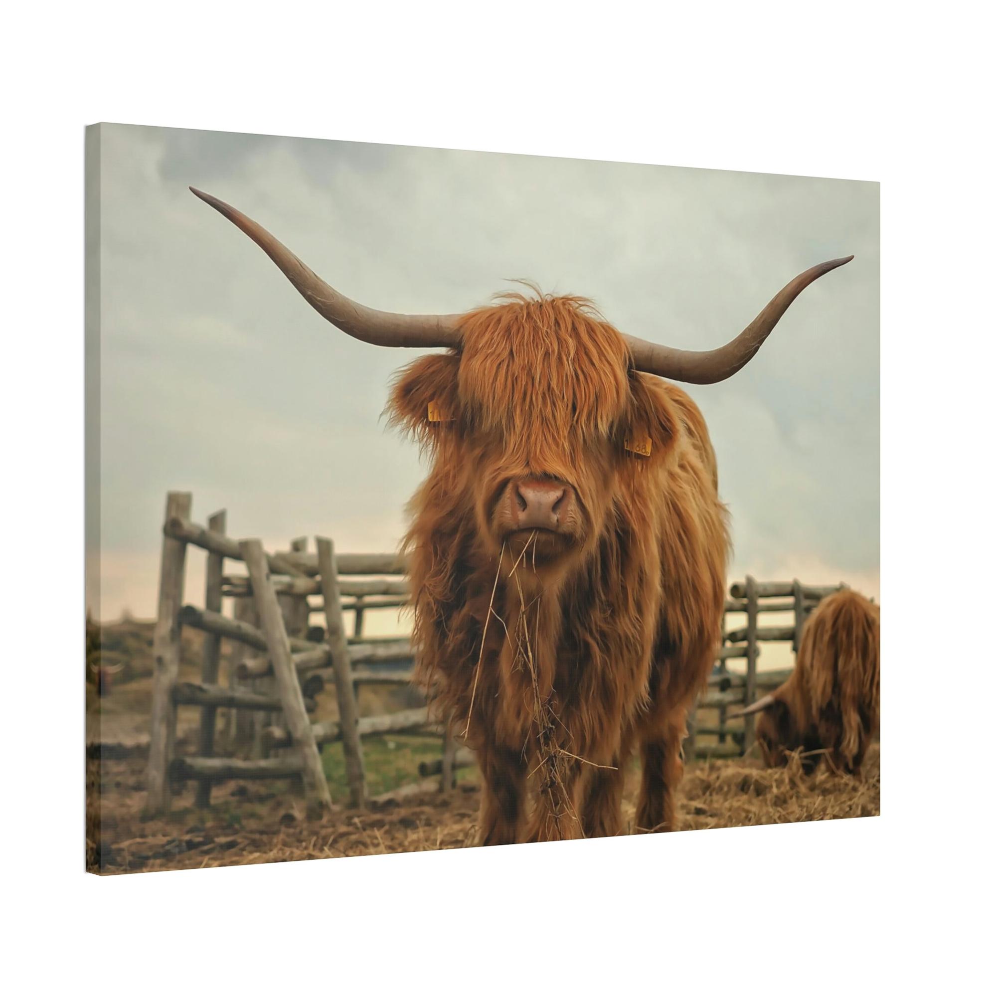 Highland Cow Highland Cow | Brown Horned Cow | Wall Art — Pixoram