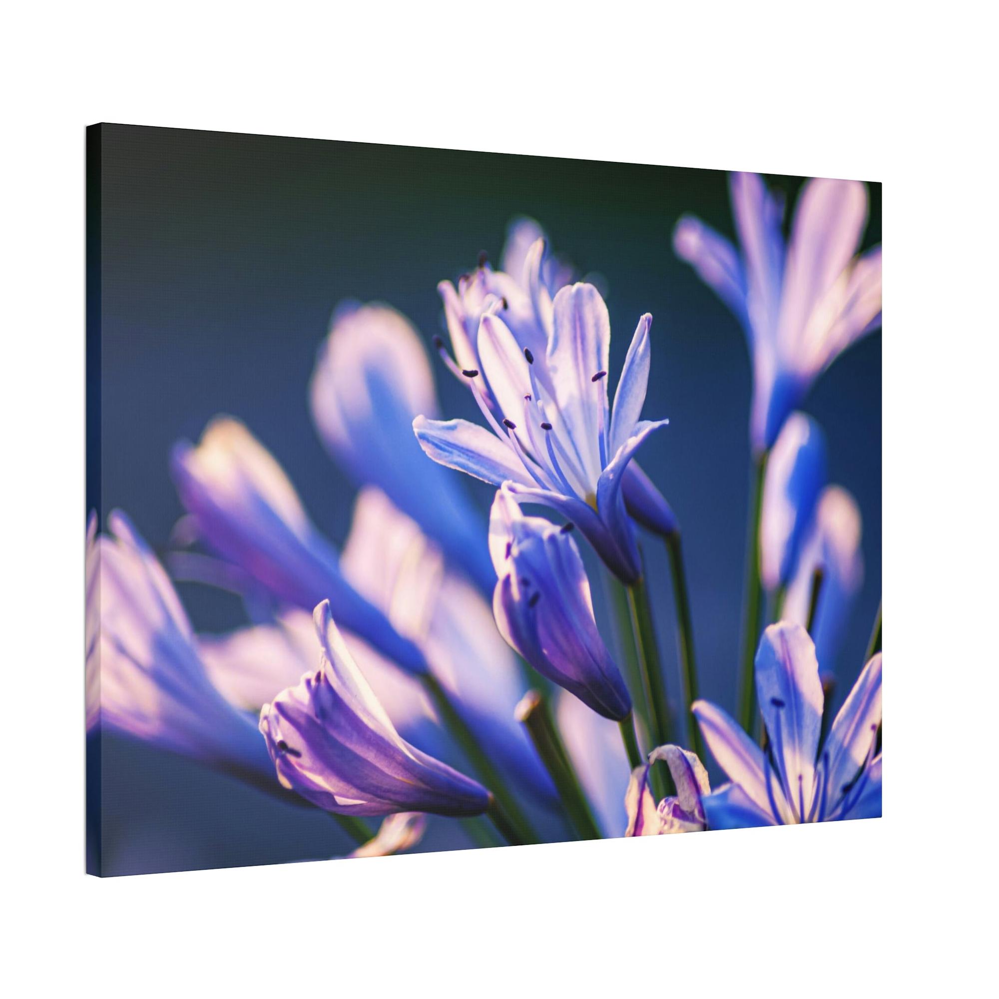 Spring The Magic of Spring: A Wonder-Filled Journey Through the Season's Wonders