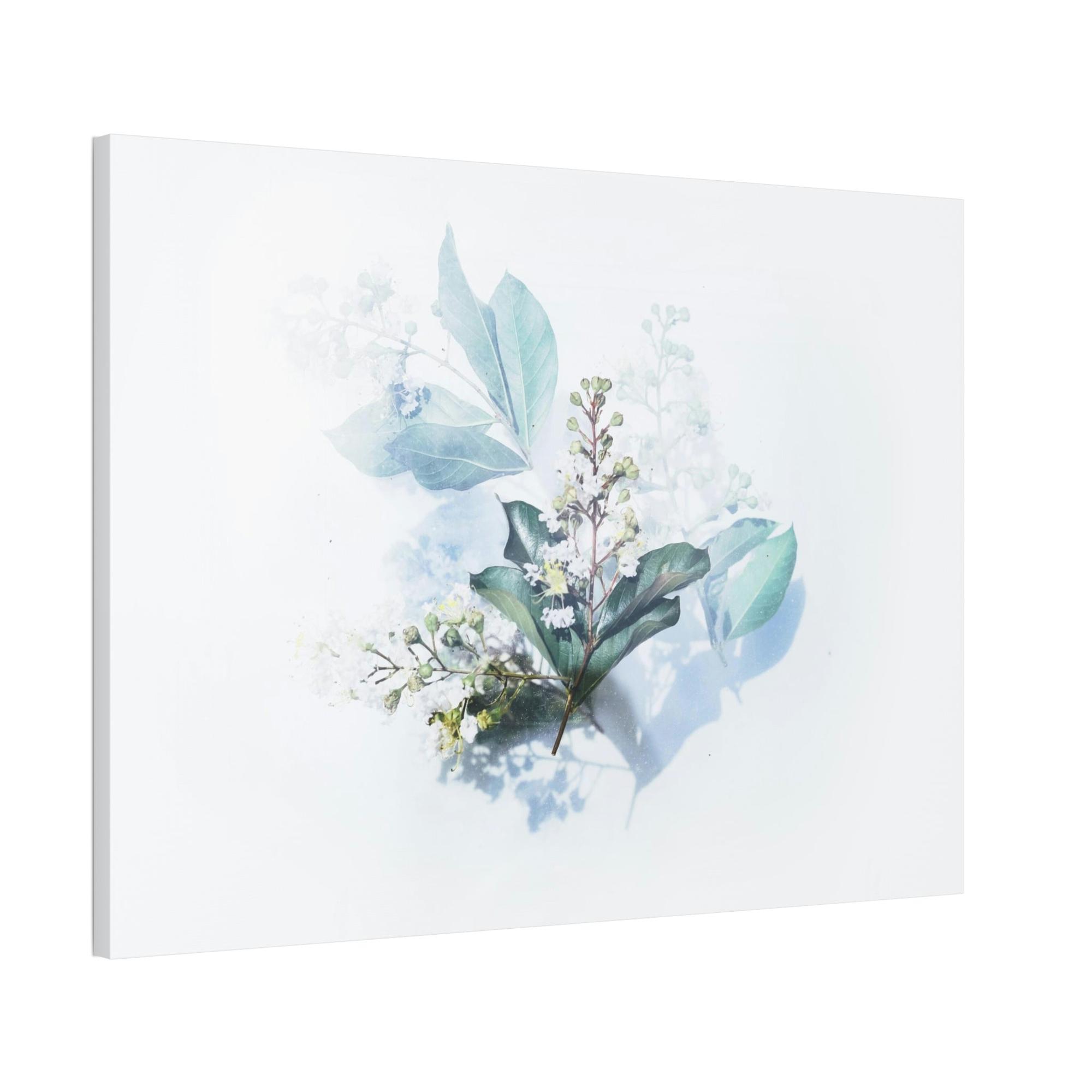 Anthropologie Botanical Beauty: An Anthro-Style Artwork