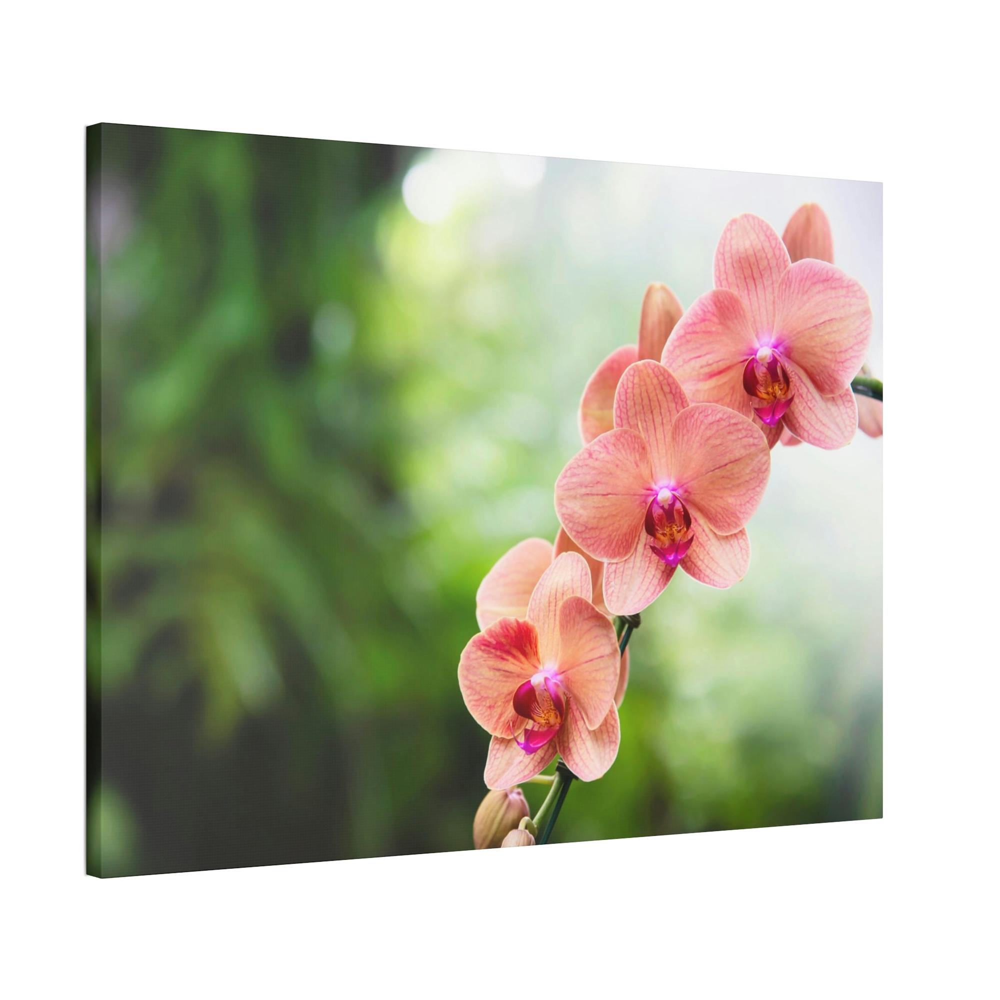 Orchids Whispers of Orchids: A Soft Canvas Touch