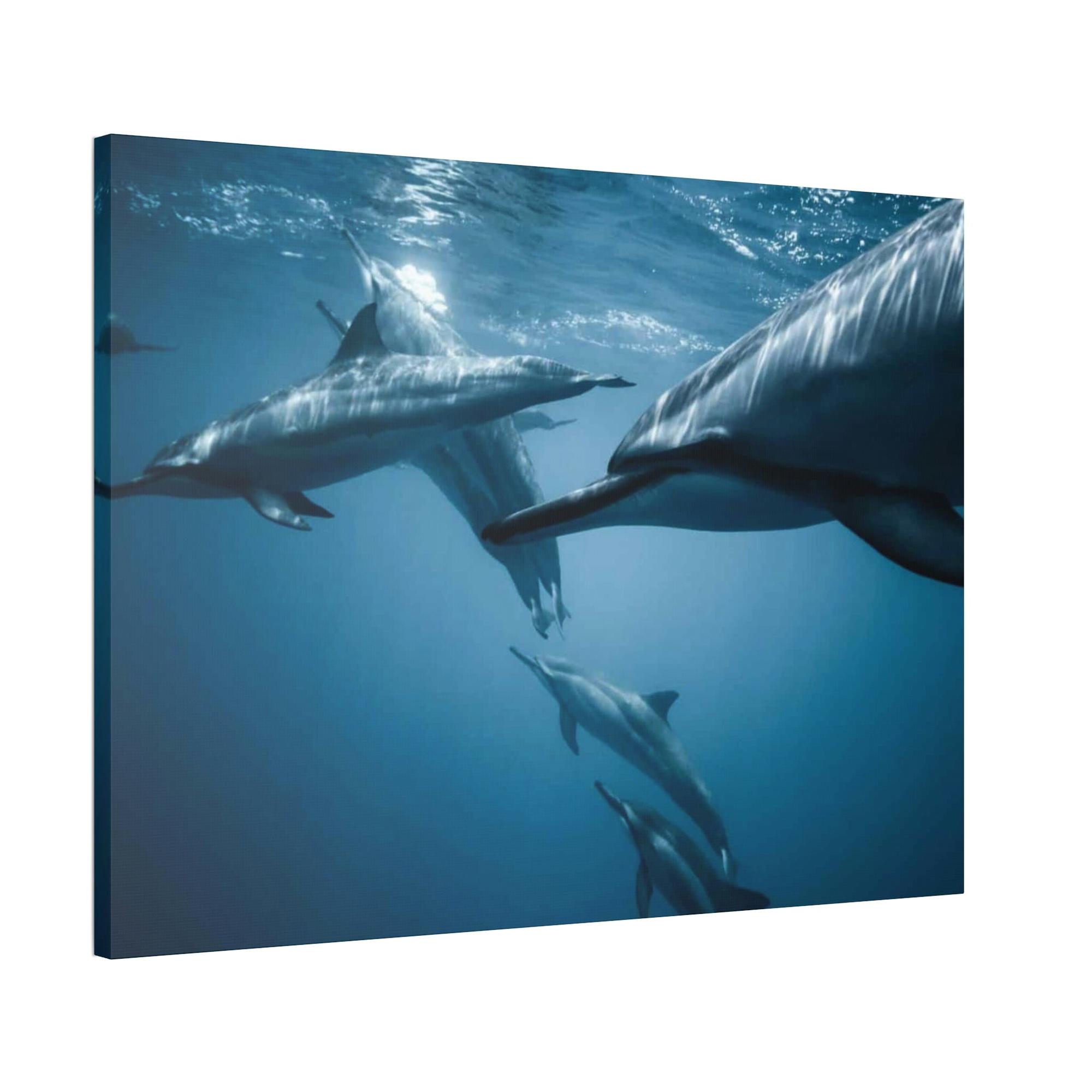 Dolphins Dolphin Delight: Canvas Print and Wall Art of Joyful Dolphins